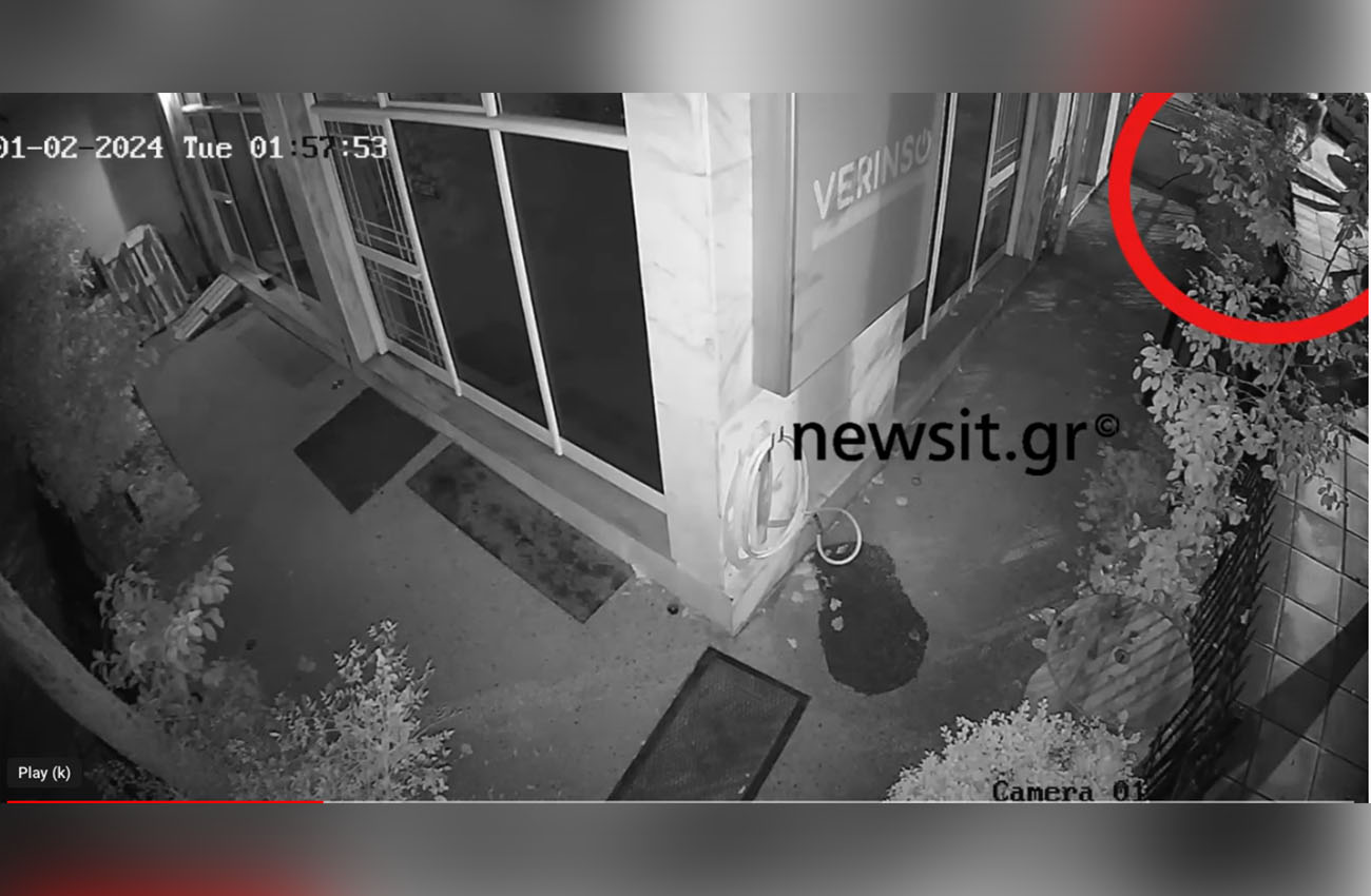 Θεσσαλονίκη: Βίντεο ντοκουμέντο – Τα 14 δευτερόλεπτα που αποκάλυψαν τη δολοφονία της Γεωργίας