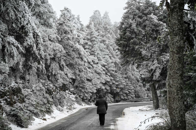 Χιόνι, τσουχτερό κρύο και θυελλώδεις άνεμοι - Ποιες περιοχές «θα ντυθούν στα λευκά» - Επικαιροποιήθηκε το Έκτακτο Δελτίο