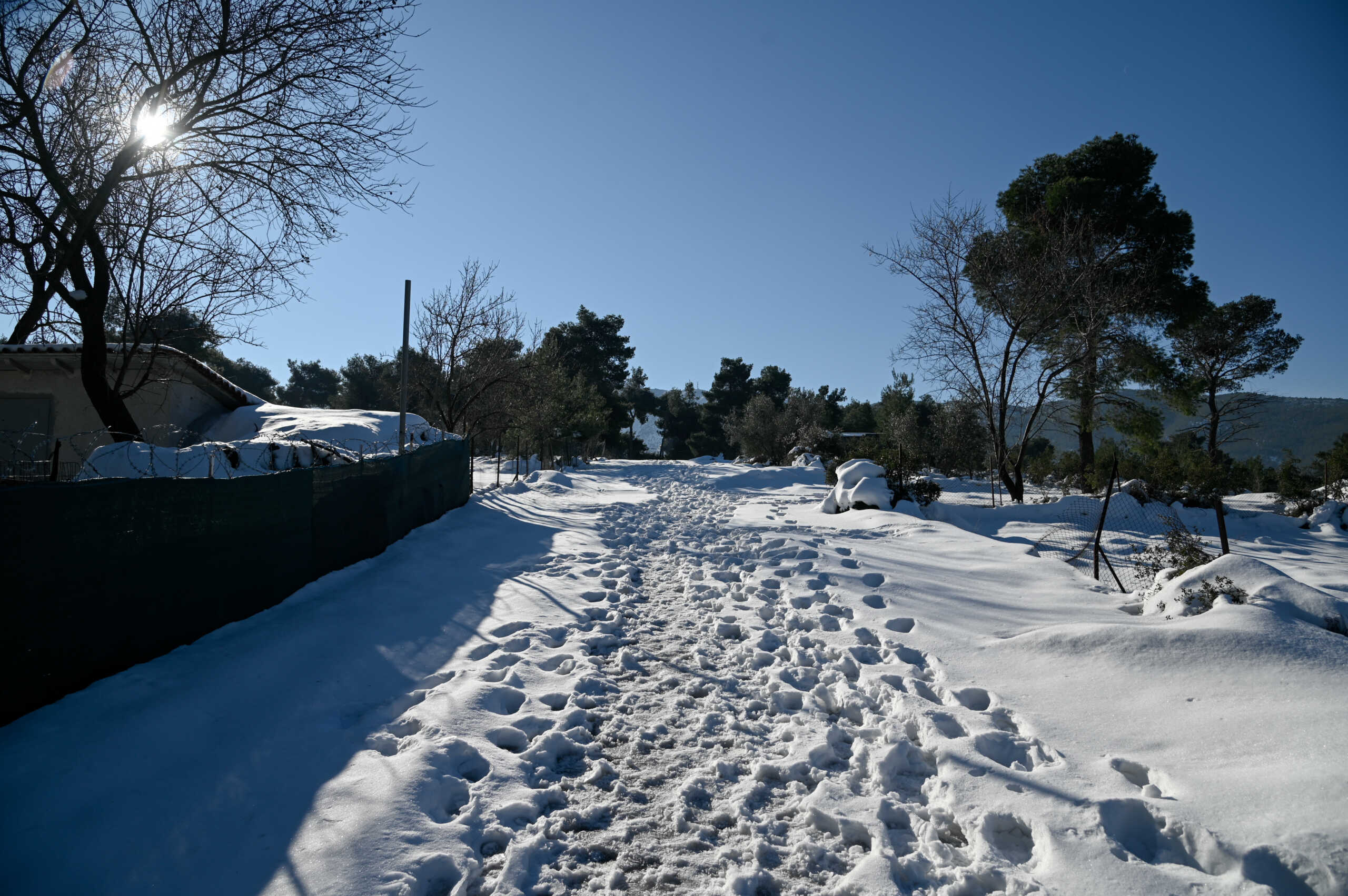 ΧΙΟΝΙΑ ΣΤΟ ΔΙΟΝΥΣΟ ΠΕΝΤΕ ΗΜΕΡΕΣ ΜΕΤΑ ΤΗΝ ΚΑΚΟΚΑΙΡΙΑ "ΕΛΠΙΣ" (ΜΙΧΑΛΗΣ ΚΑΡΑΓΙΑΝΝΗΣ