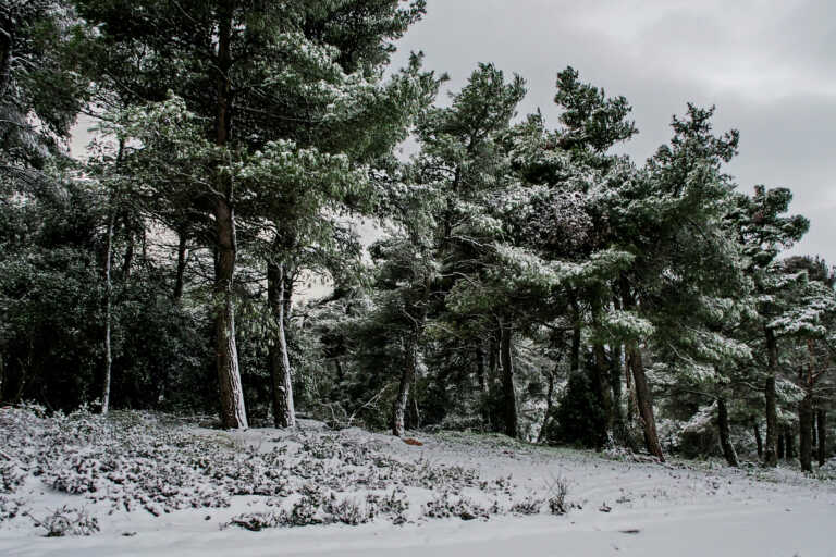 Έκλεισε η λεωφόρος Πάρνηθας από το ύψος του τελεφερίκ λόγω χιονόπτωσης
