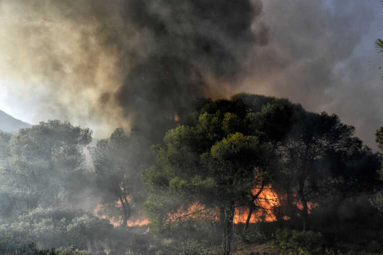 Φωτιά σε δάσος στην Κατερίνη – Μεγάλη επιχείρηση της πυροσβεστικής