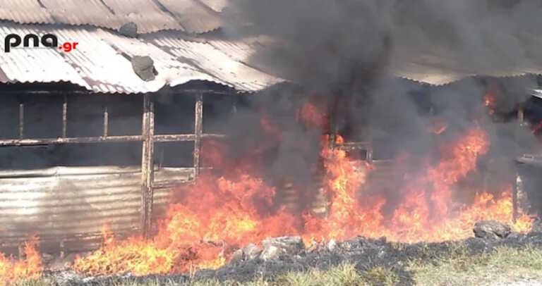 Τραγωδία στη Μαντινεία Αρκαδίας - Ηλικιωμένος απανθρακώθηκε από φωτιά στο σπίτι του