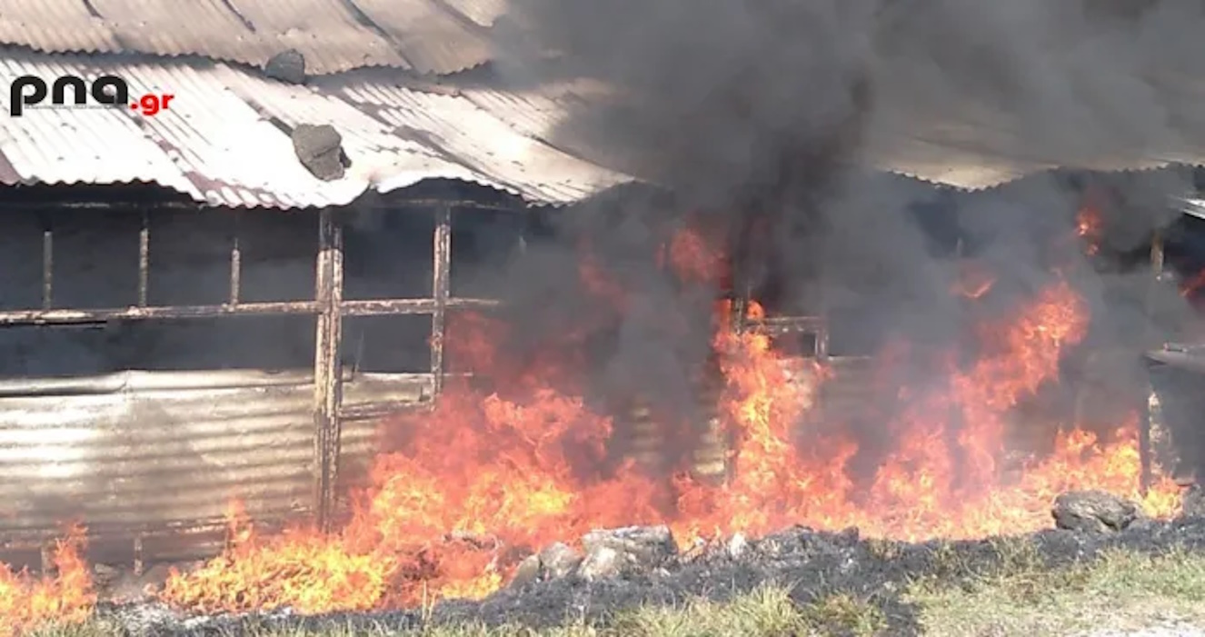 Αρκαδία: Ηλικιωμένος απανθρακώθηκε από φωτιά στο σπίτι του στη Μαντινεία