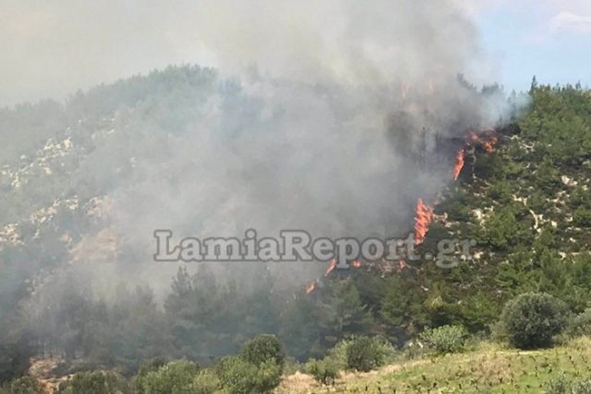 Φωτιά στο Νεοχώρι Φθιώτιδας – Συναγερμός στην πυροσβεστική, σηκώθηκε αεροσκάφος