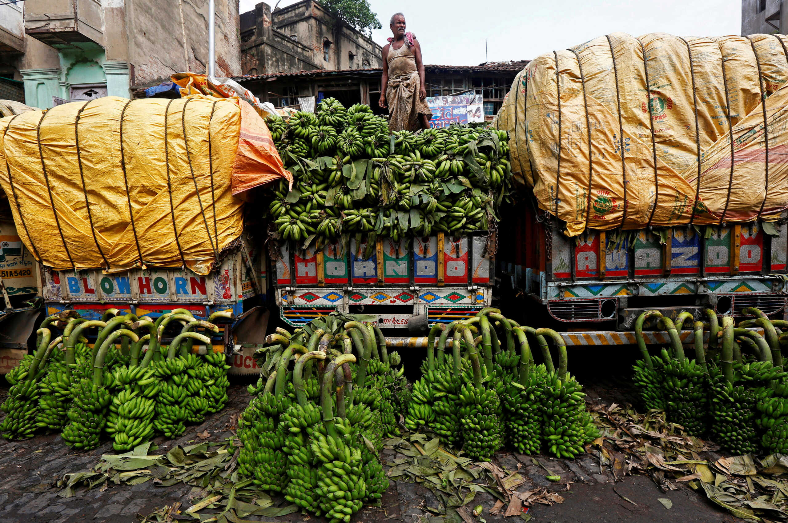 FILE PHOTO: A worker unloads raw bananas, which will be used as offerings during prayers ahead of the Hindu religious festival of Chhath Puja, from a truck at a wholesale market in Kolkata, India October 25, 2017. REUTERS