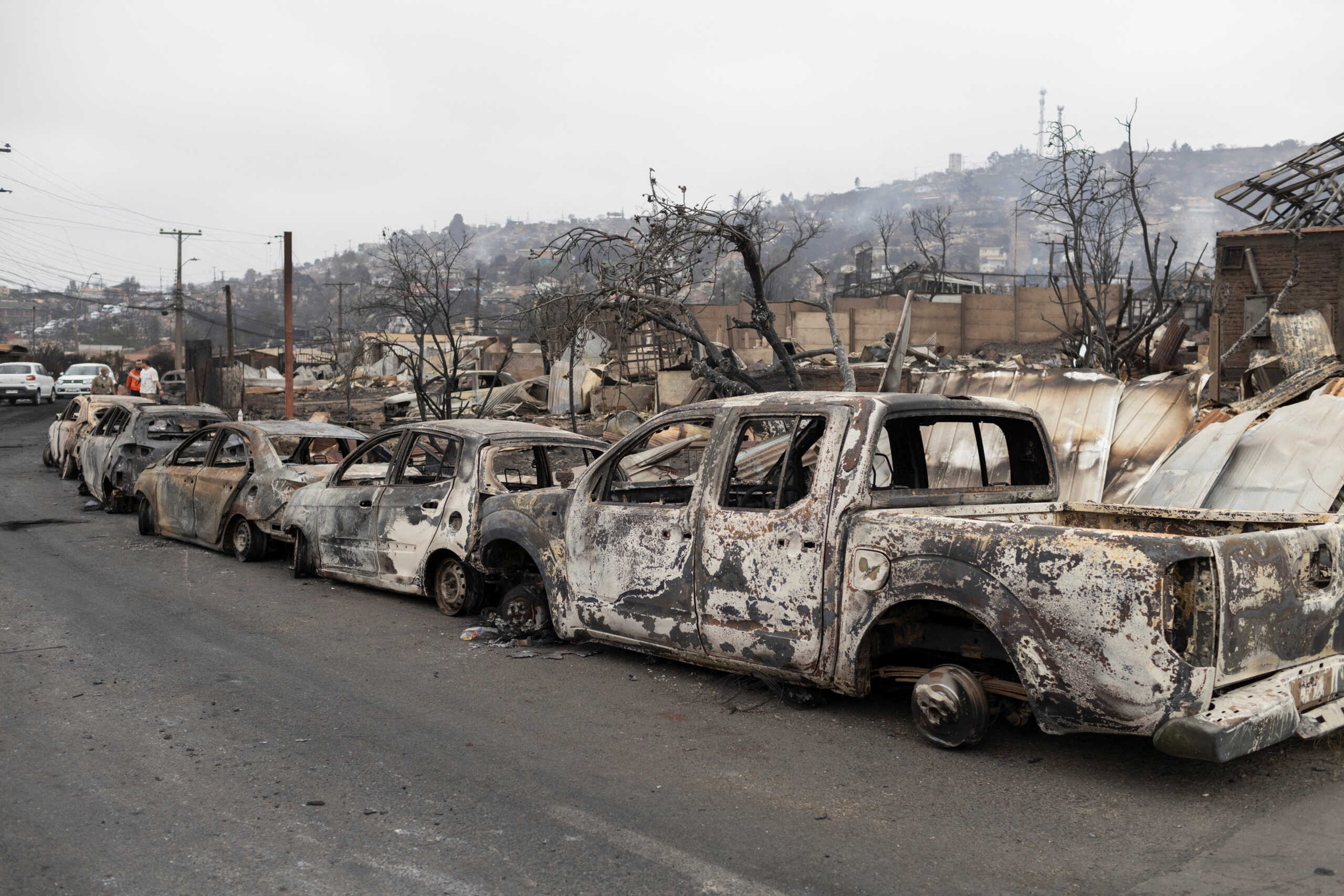 The remains of burned cars are lined up on a street, following the spread of wildfires in Vina del Mar, Chile, February 4, 2024. REUTERS