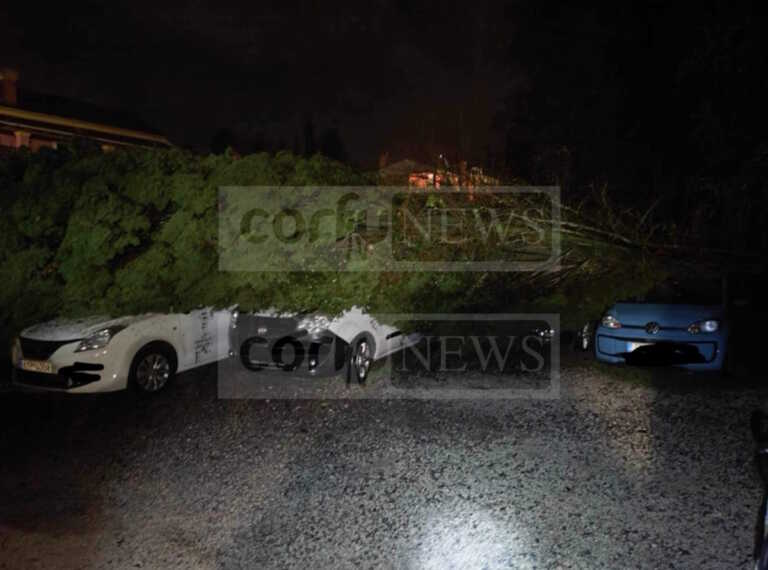 Σφοδρή χαλαζόπτωση στην Κέρκυρα - Δέντρο έπεσε πάνω σε αυτοκίνητα