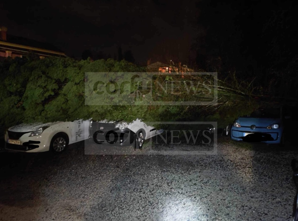 Κέρκυρα: Σφοδρή χαλαζόπτωση – Δέντρο έπεσε πάνω σε αυτοκίνητα