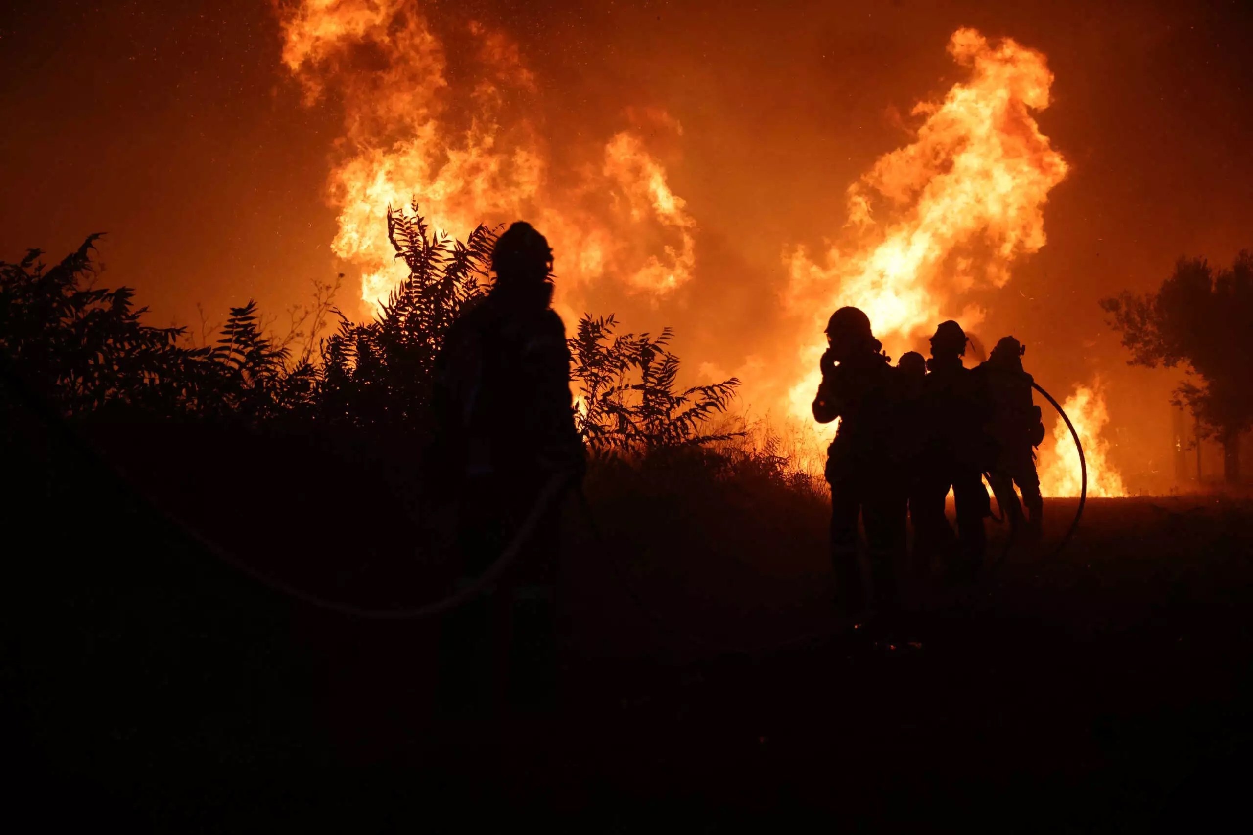 Αρωγή μέχρι 3.500 ευρώ ανά καταστραμμένο στρέμμα για την ενίσχυση αποκατάστασης του Έβρου