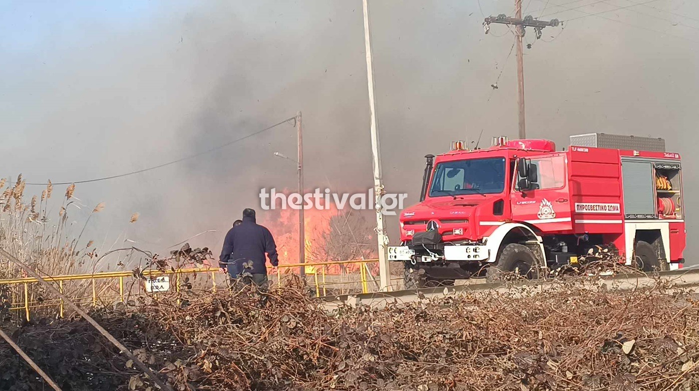 Θεσσαλονίκη: Φωτιά στα Κύμινα, ισχυροί άνεμοι στην περιοχή