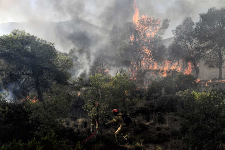 Δασική φωτιά στο Κρυονέρι της Ηλείας - Ενισχύονται οι δυνάμεις της πυροσβεστικής στο πύρινο μέτωπο