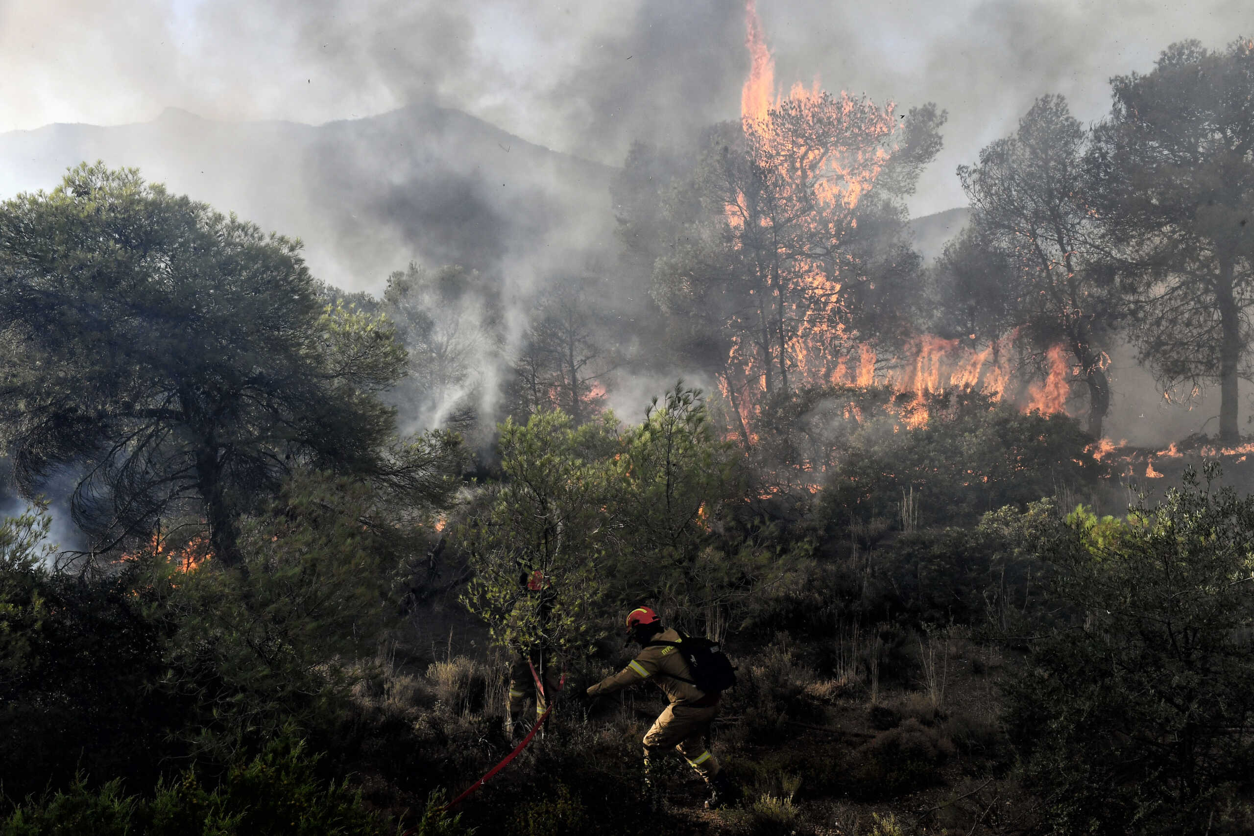 Ηλεία: Δασική φωτιά στην περιοχή Κρυονέρι – Ενισχύονται οι πυροσβεστικές δυνάμεις