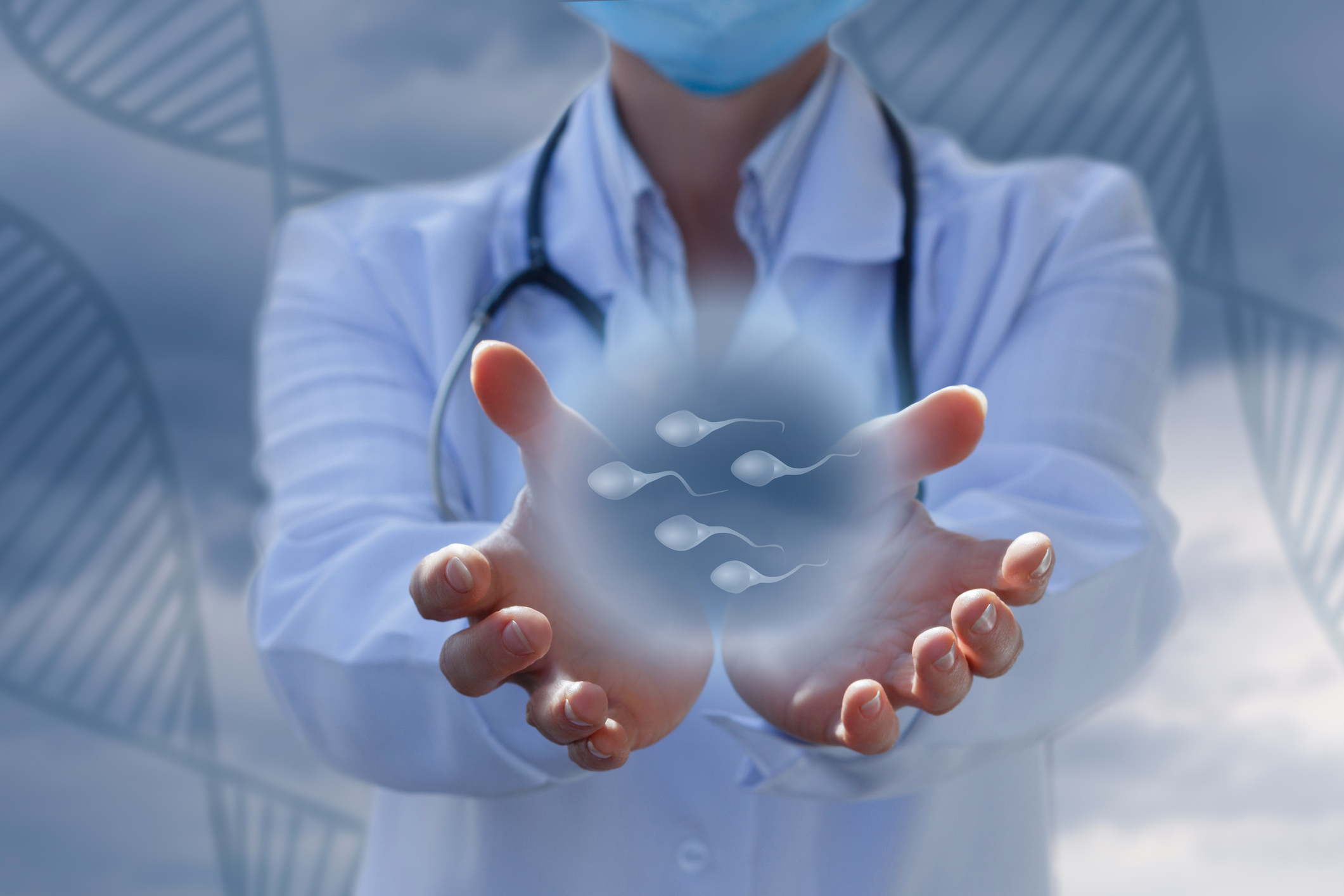 The concept of artificial insemination. Doctor showing human resources.