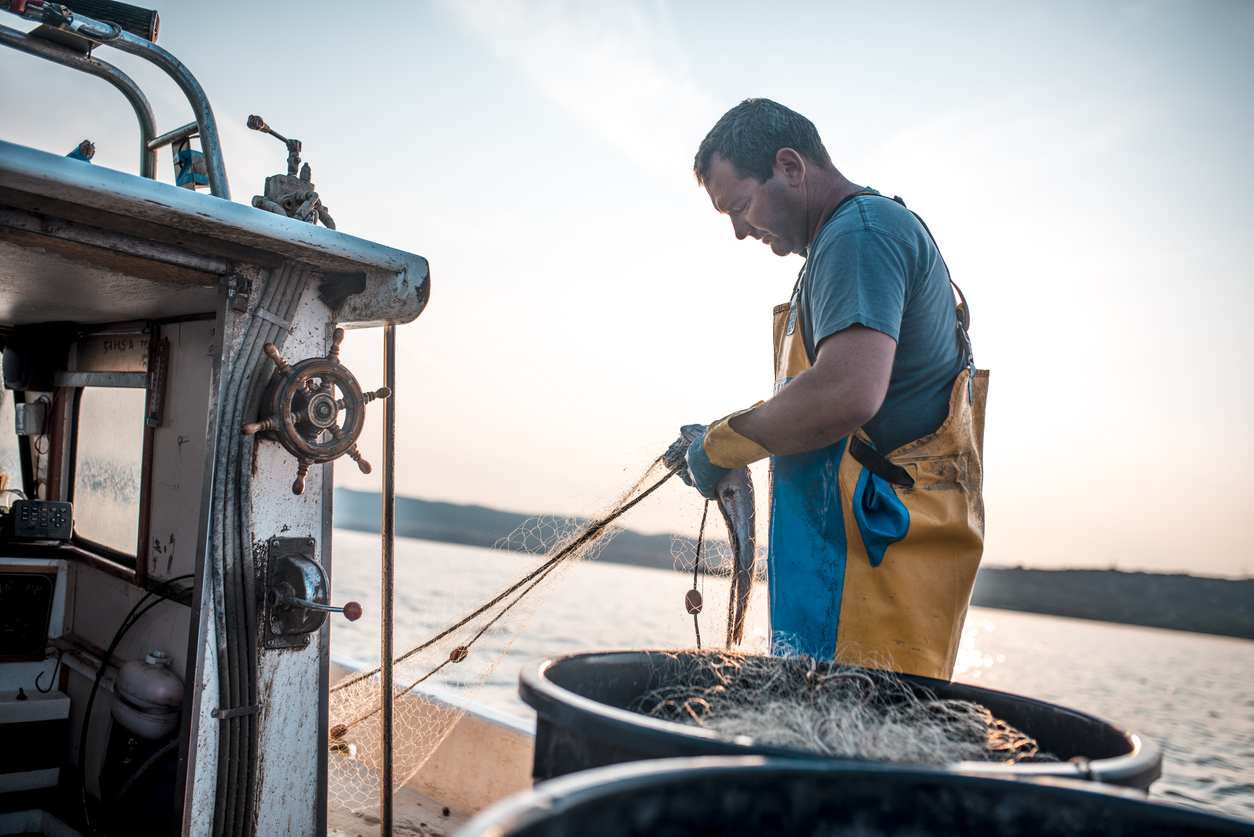 Fisherman pulling the net out of water. He is standing on his boat. Sunrise in back.