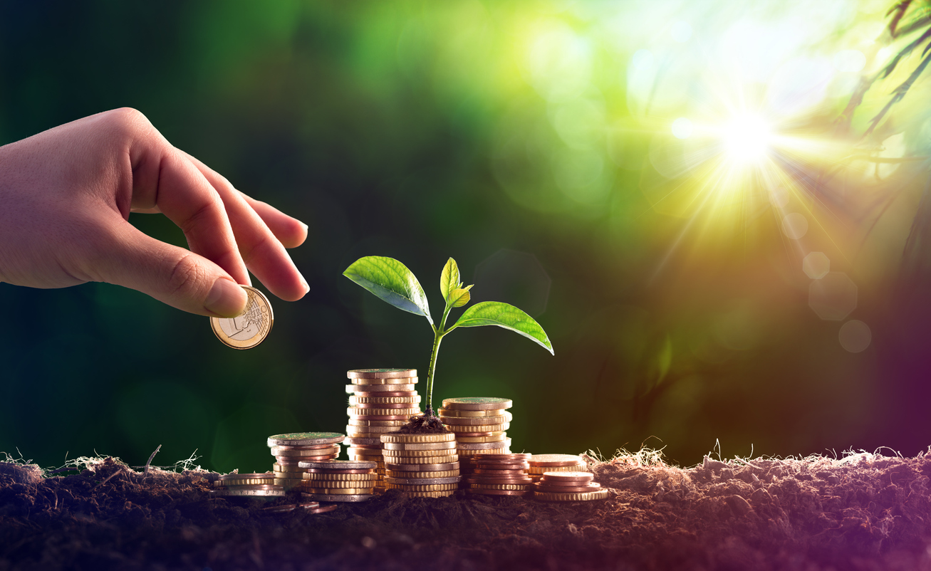 Sprout In Coins Money