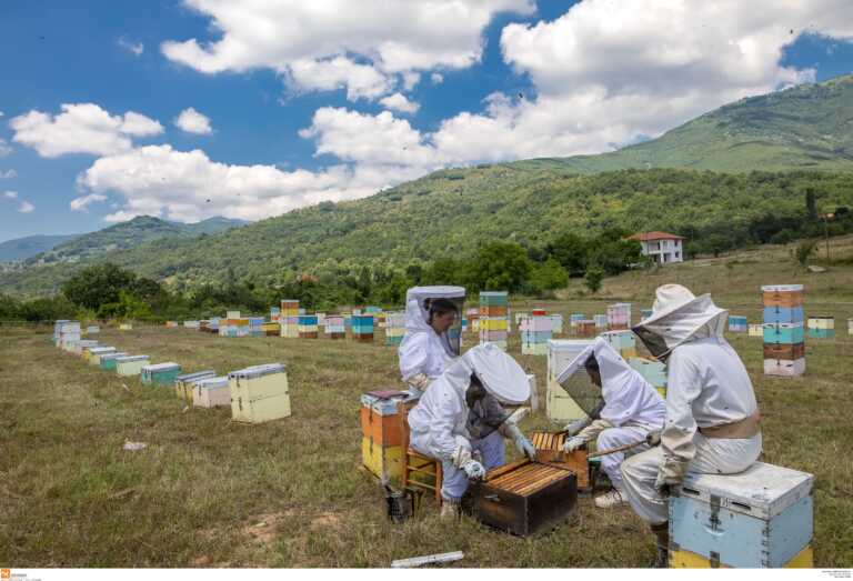 Φρένο στις «ελληνοποιήσεις» και μείωση του κόστους παραγωγής ζητούν μελισσοκόμοι στη Χαλκιδική