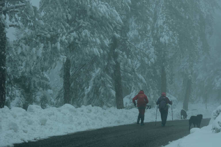 Δραματική διάσωση ορειβάτη που έπεσε σε διαβητικό κώμα - Θρίλερ στα χιονισμένα Βαρδούσια