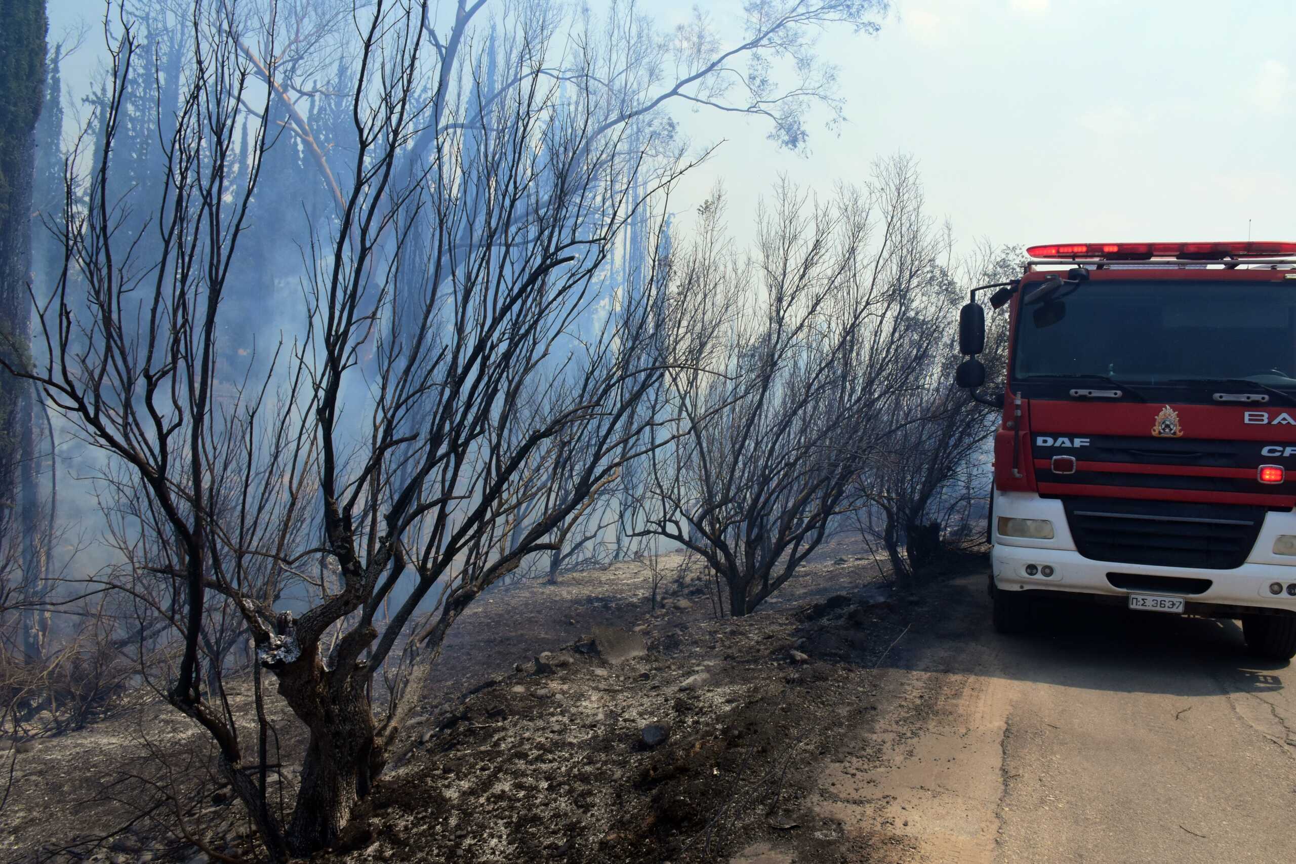 Αργολίδα - Πυρκαγιά εκδηλώθηκε το μεσημέρι της Τετάρτης 23 Αυγούστου στην περιοχή Άκοβα στο Άργος. Σύμφωνα με πληροφορίες η φωτιά εντοπίστηκε κοντά στην εκκλησία των Αγίων Ταξιαρχών και καίει χαμηλή βλάστηση και ελιόδεντρα. Κινητοποιήθηκαν επίγειες και εναέριες δυνάμεις. (Βασίλης Παπαδόπουλος