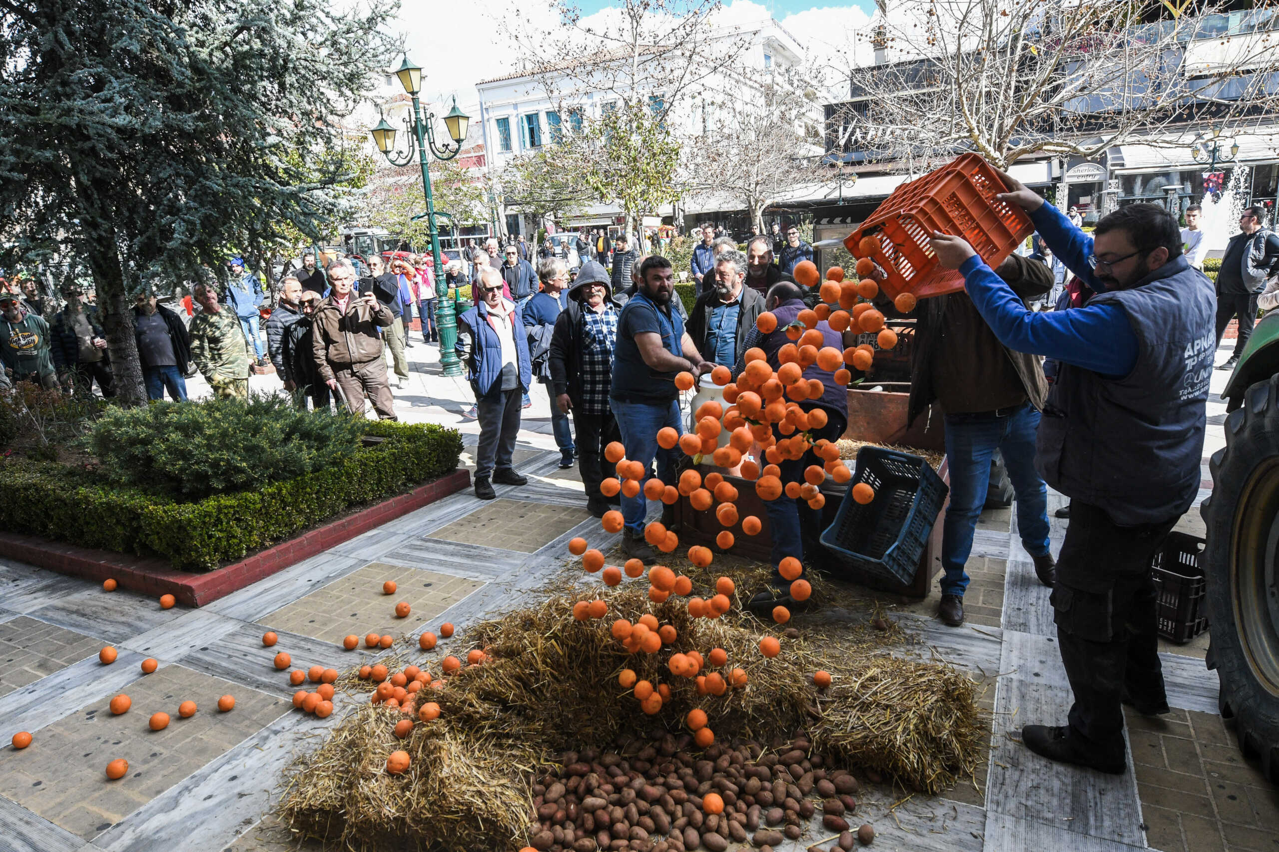 Κινητοποίηση αγροτών και κτηνοτρόφων της Ηλείας στην κεντρική πλατεία Πύργου, Τρίτη 13 Φεβρουαρίου 2024. 
(ΓΙΑΝΝΗΣ ΣΠΥΡΟΥΝΗΣ