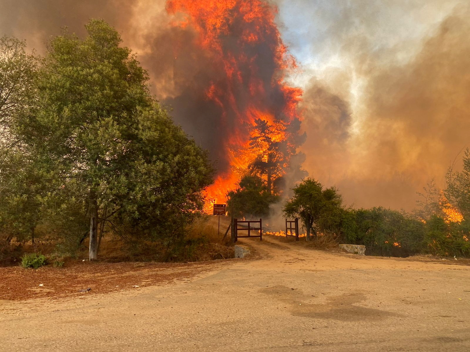 Fire and smoke rise as a wildfire burns near the Lago Penuelas National Reserve, in Valparaiso region, Chile February 2, 2024. Bomberos de Chile