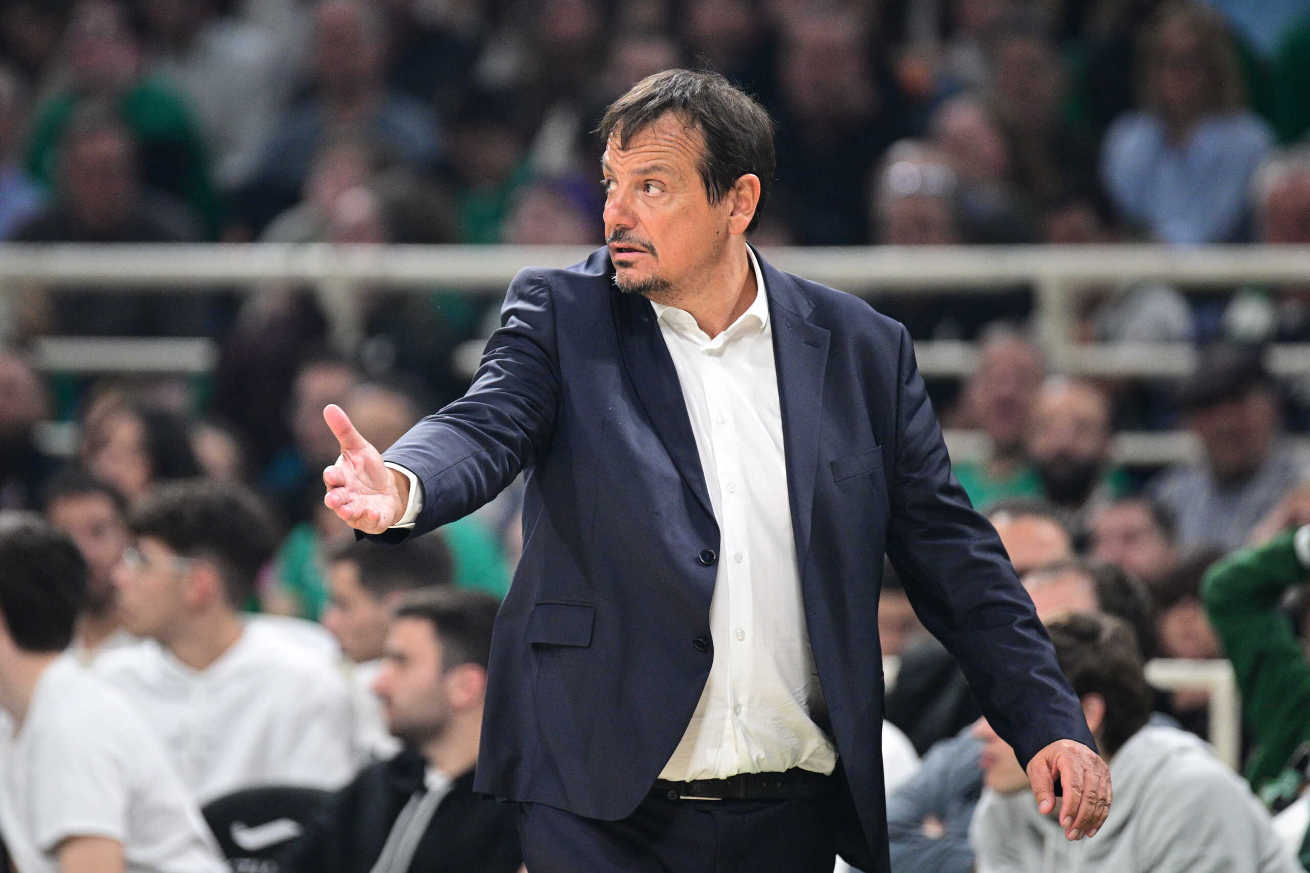 EUROLEAGUE 2023 - 2024