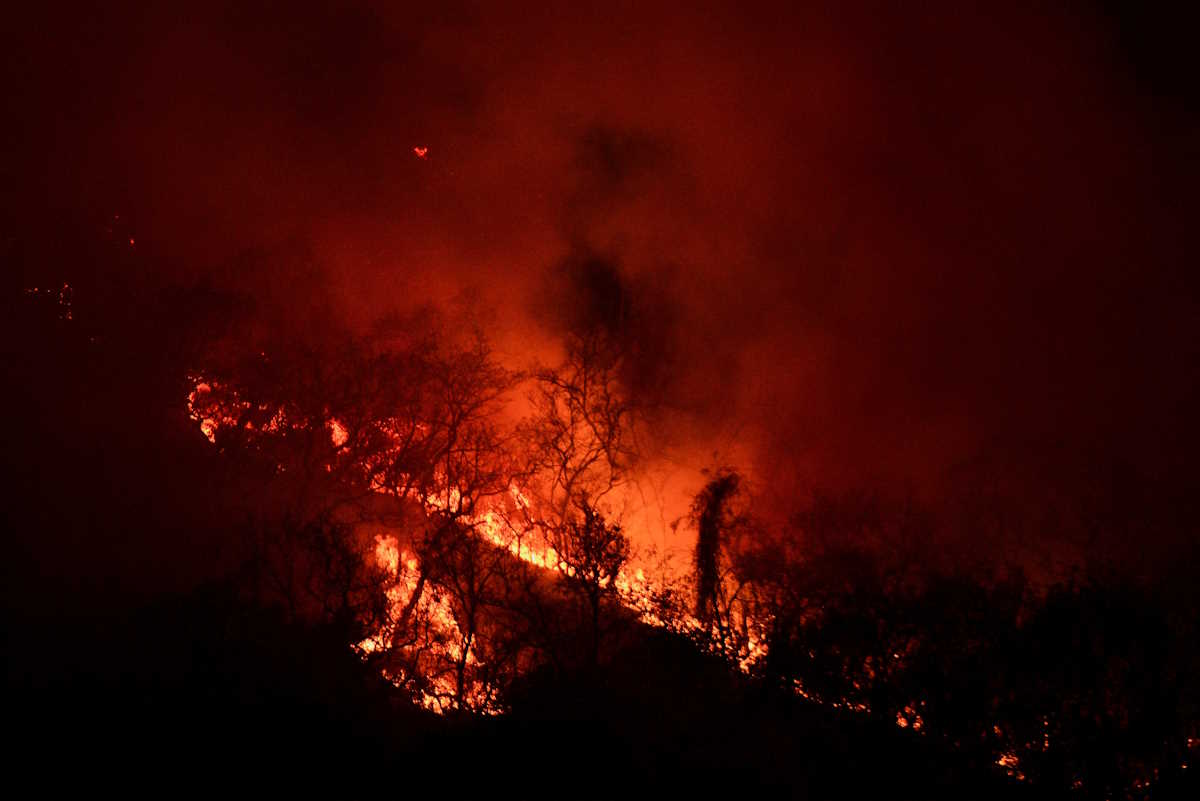 Flames burn across a mountainside amid wildfires in the state of Veracruz, in Balastrera, Mexico March 26, 2024. REUTERS