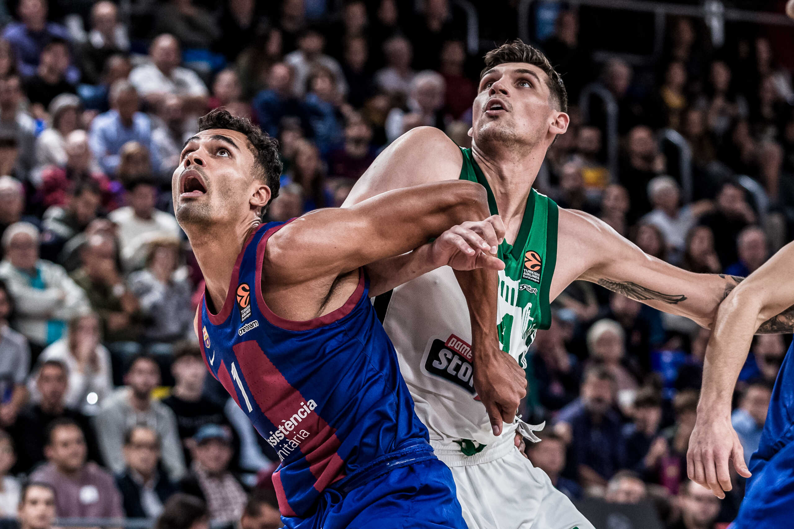 EUROLEAGUE