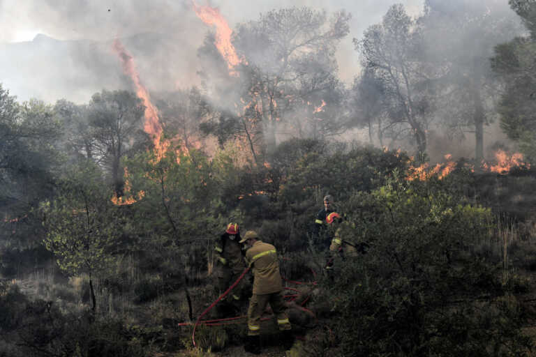 Φωτιά στην Κατερίνη: Πυρκαγιά σε δασική έκταση στη Σαρακατσάνα