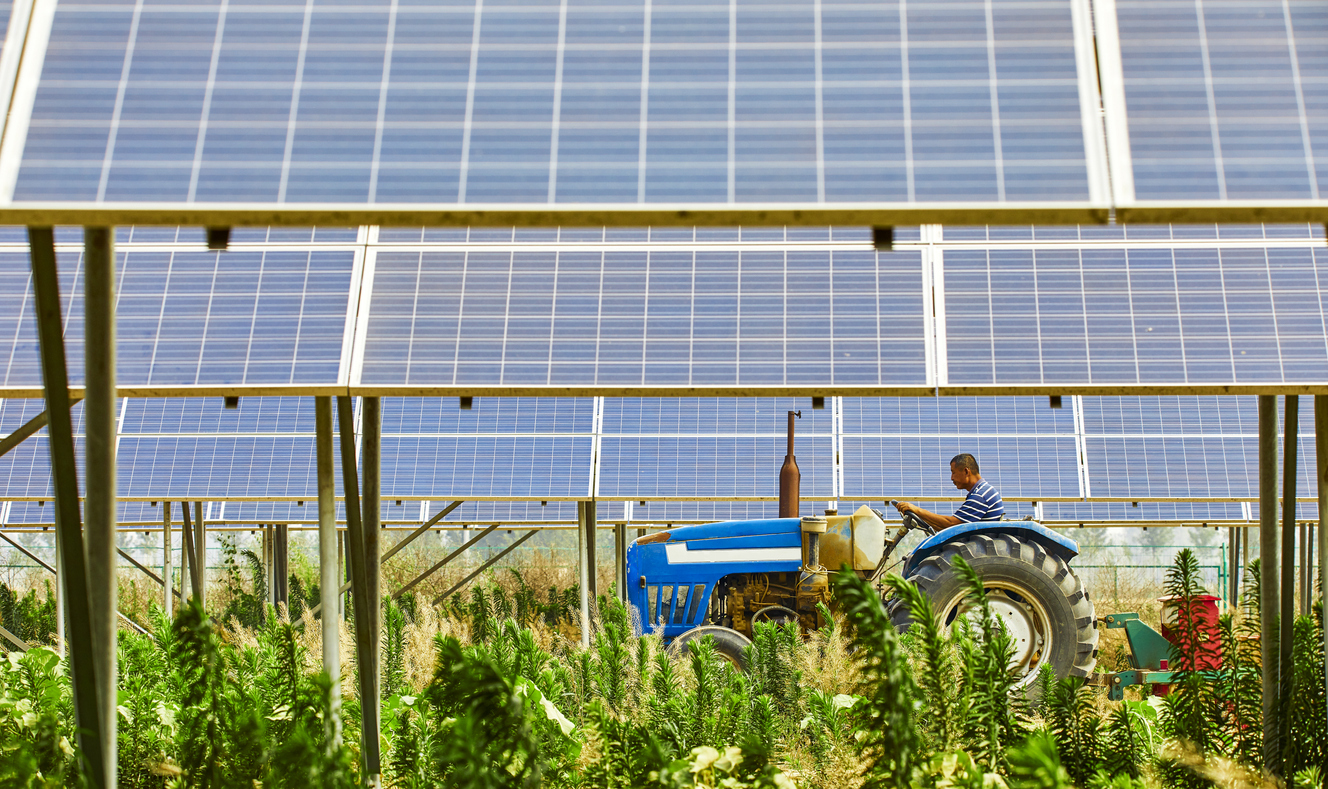 Farmers who open agricultural tractors in solar photovoltaic districts are harvesting rice