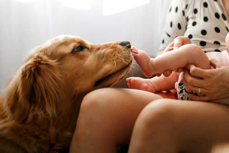 Χρήσιμες συμβουλές για να μη ζηλέψει ο σκύλος σας, όταν έρθει το μωρό στο σπίτι σας 