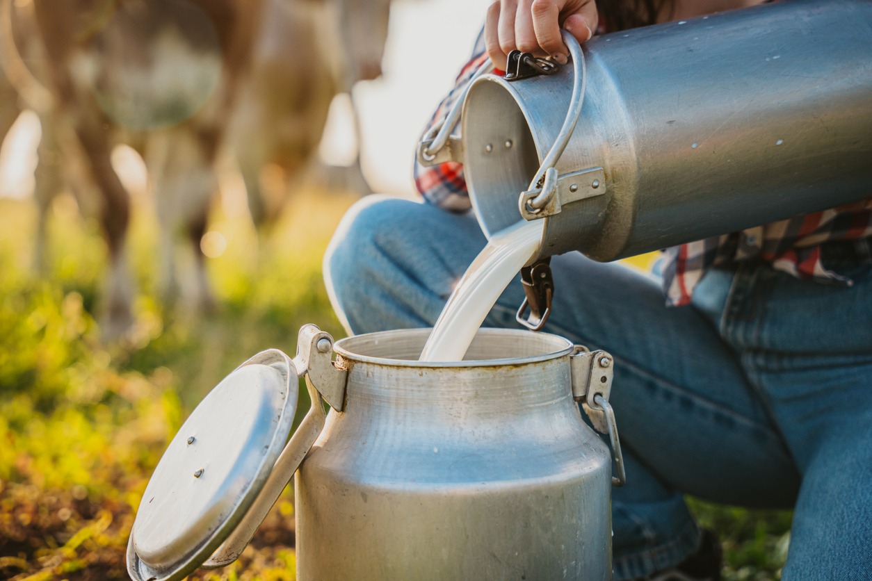 Πώς η μείωση των Ελλήνων παραγωγών γάλακτος συνέβαλε στην αύξηση της τιμής του