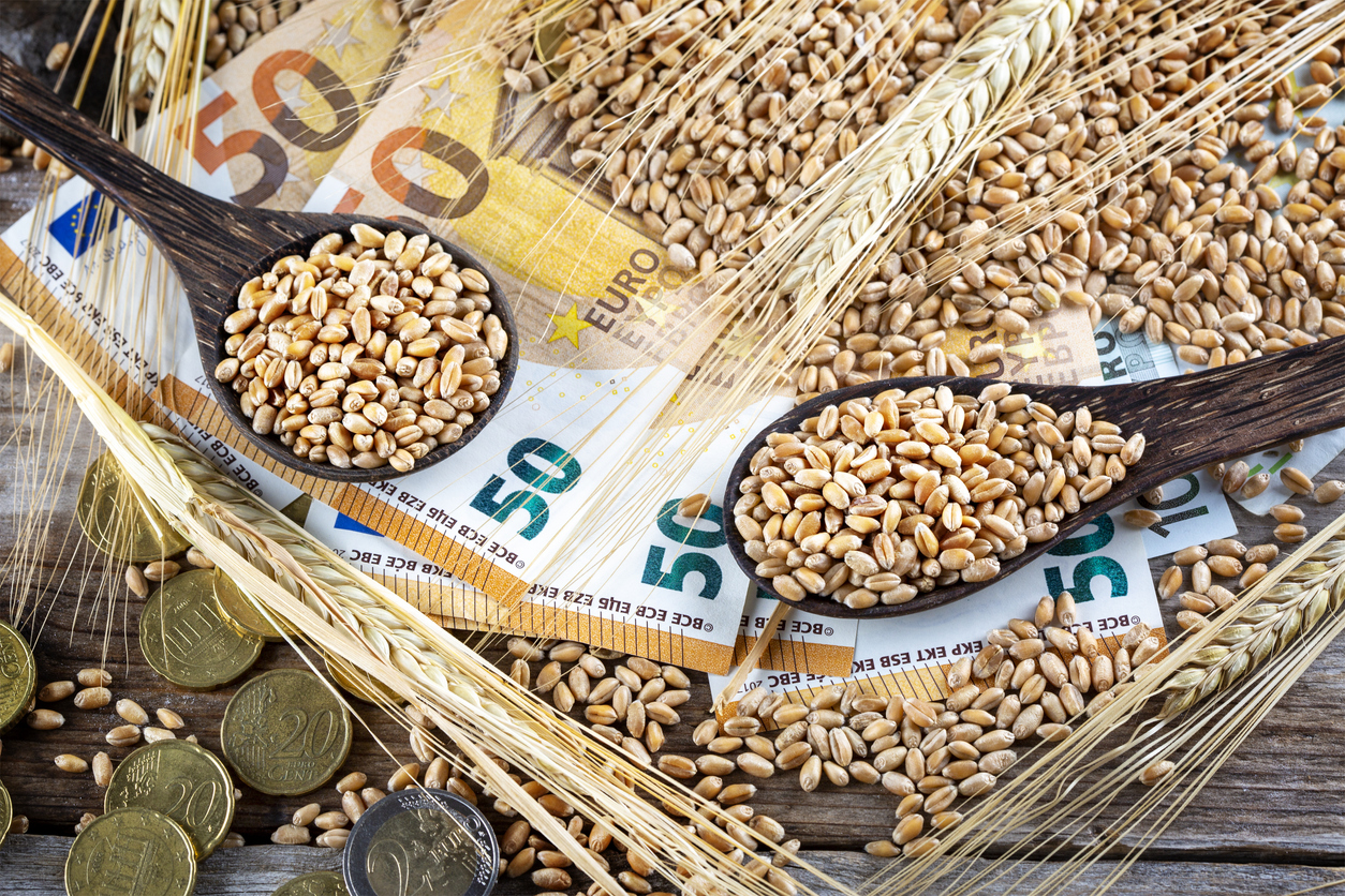 Concept of rising costs for wheat after the 2022 russian invasion of ukraine