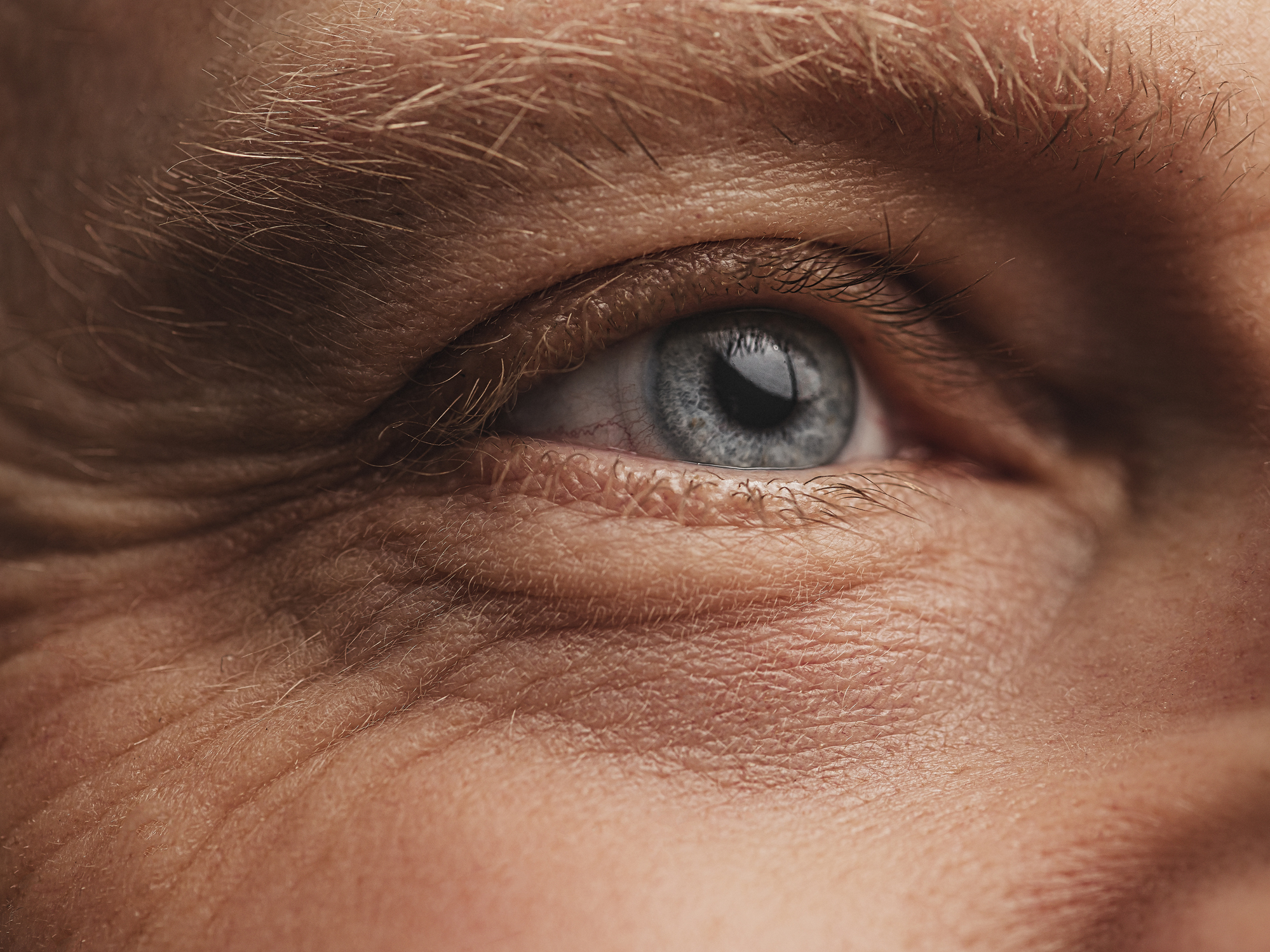 Eye Macro skin and face detail
Photo taken in studio of mature adult man in his mid 40s