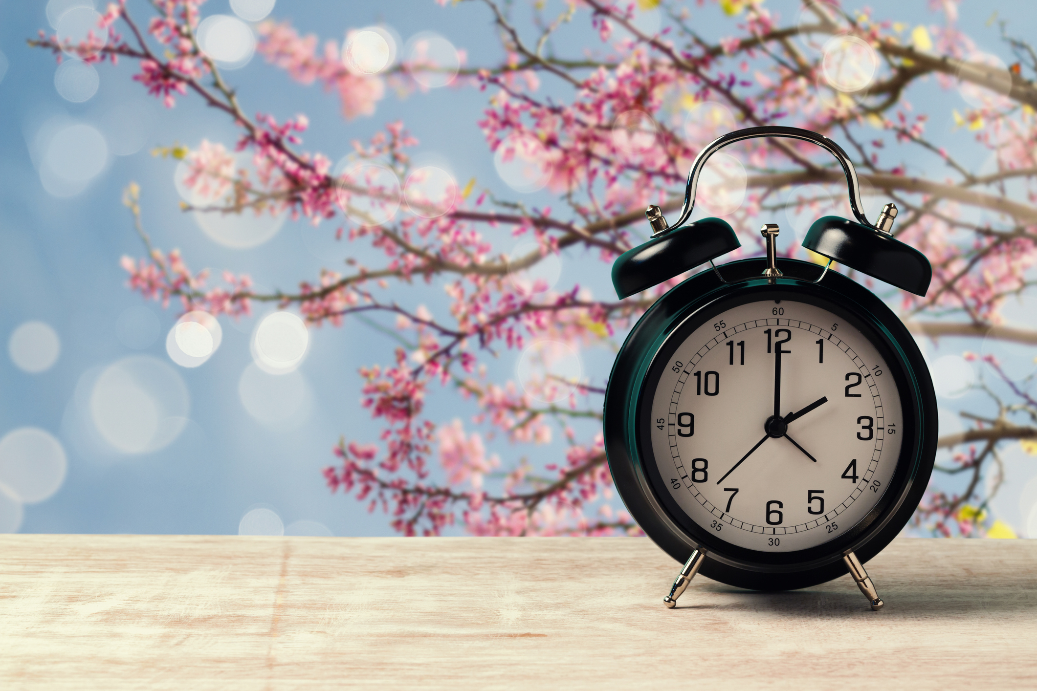 Spring time change concept with alarm clock on wooden table over nature tree blossom background