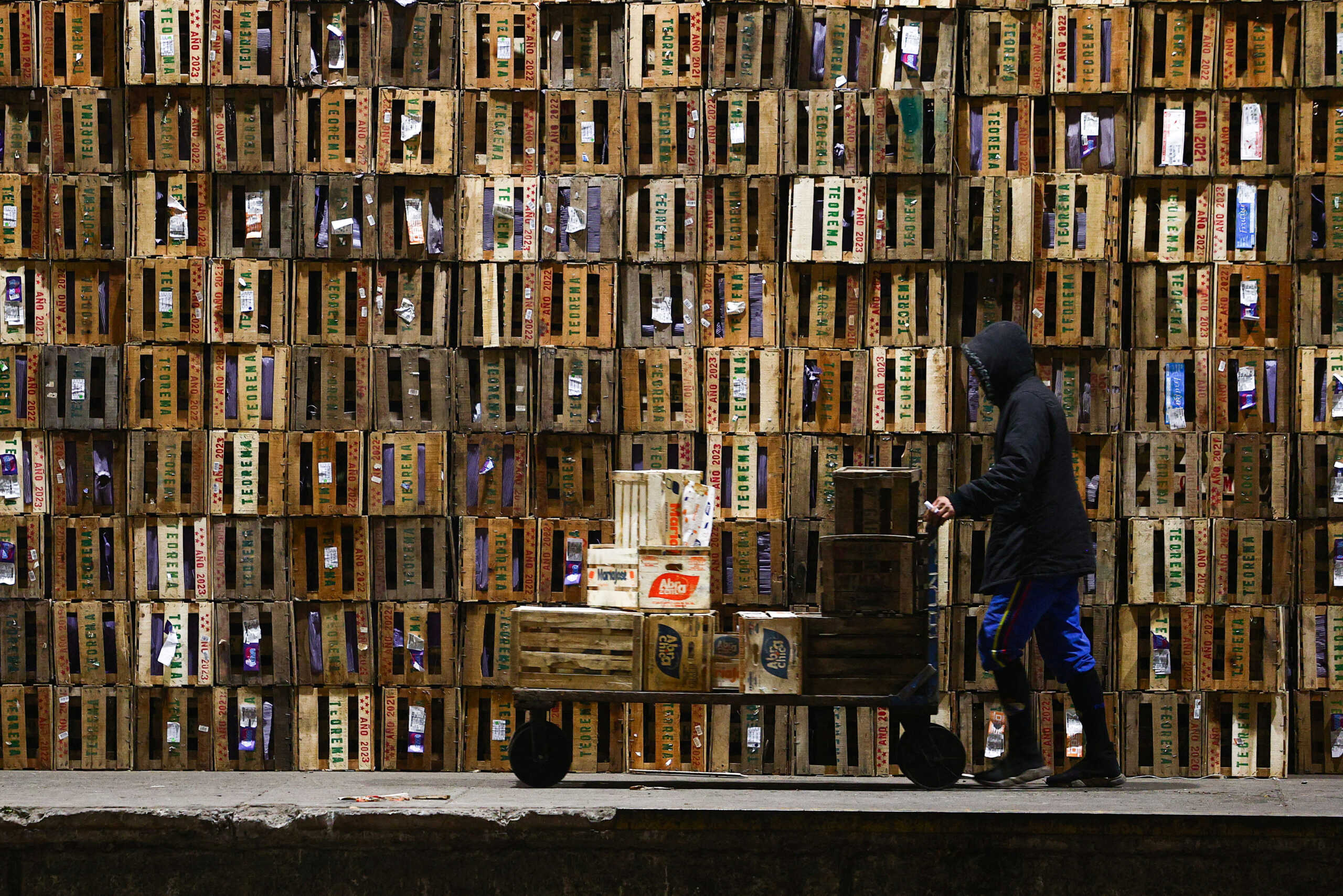 FILE PHOTO: A man pushes a cart at the Mercado Central, the city's largest wholesale central market, which receives produce from the entire country, as Argentines face a daily race for deals as inflation soars above 100%, on the outskirts of Buenos Aires, Argentina September 12, 2023. REUTERS