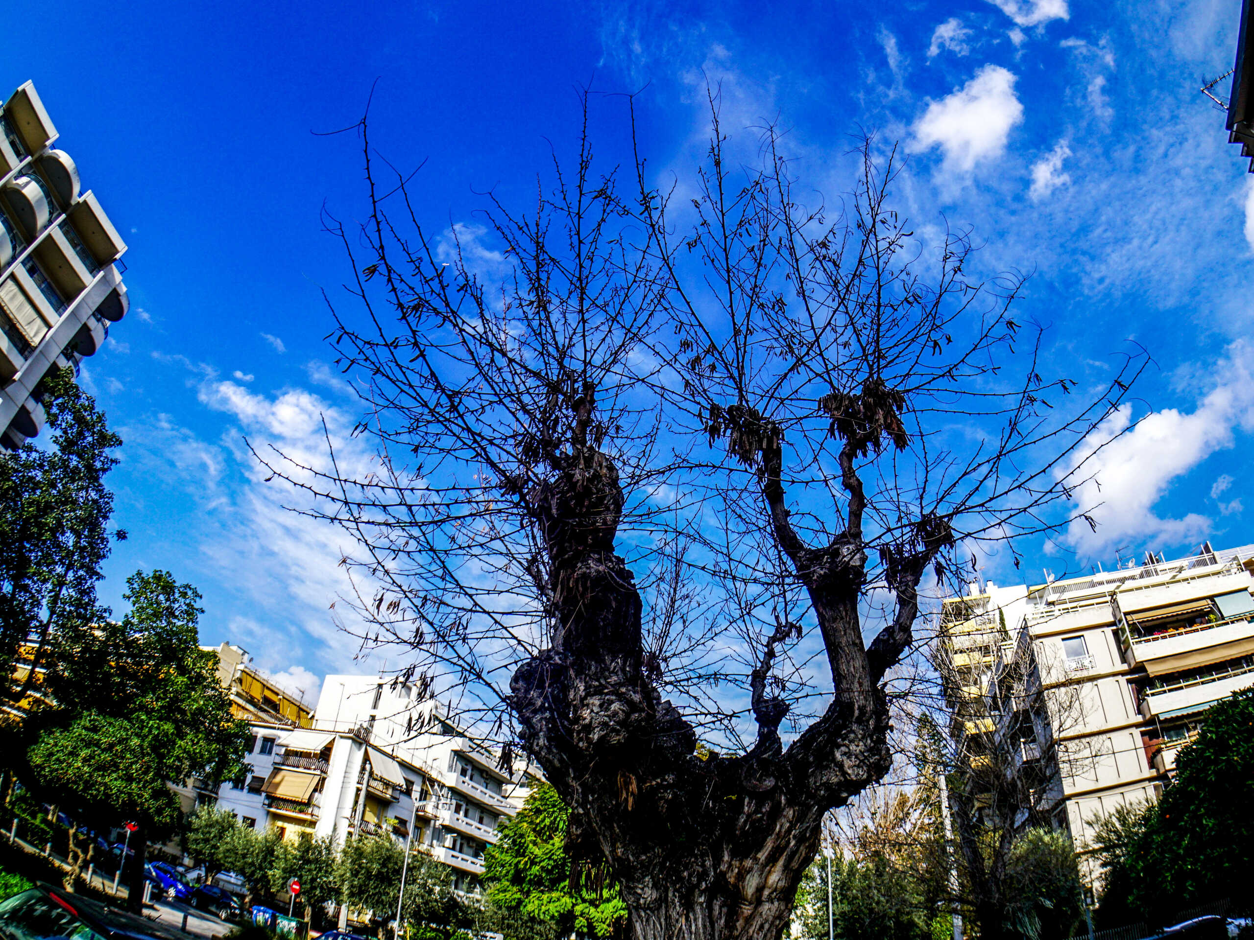 ΚΑΙΡΟΣ  Τετάρτη 28 Φεβρουαρίου 2024  (ΓΙΩΡΓΟΣ ΚΟΝΤΑΡΙΝΗΣ