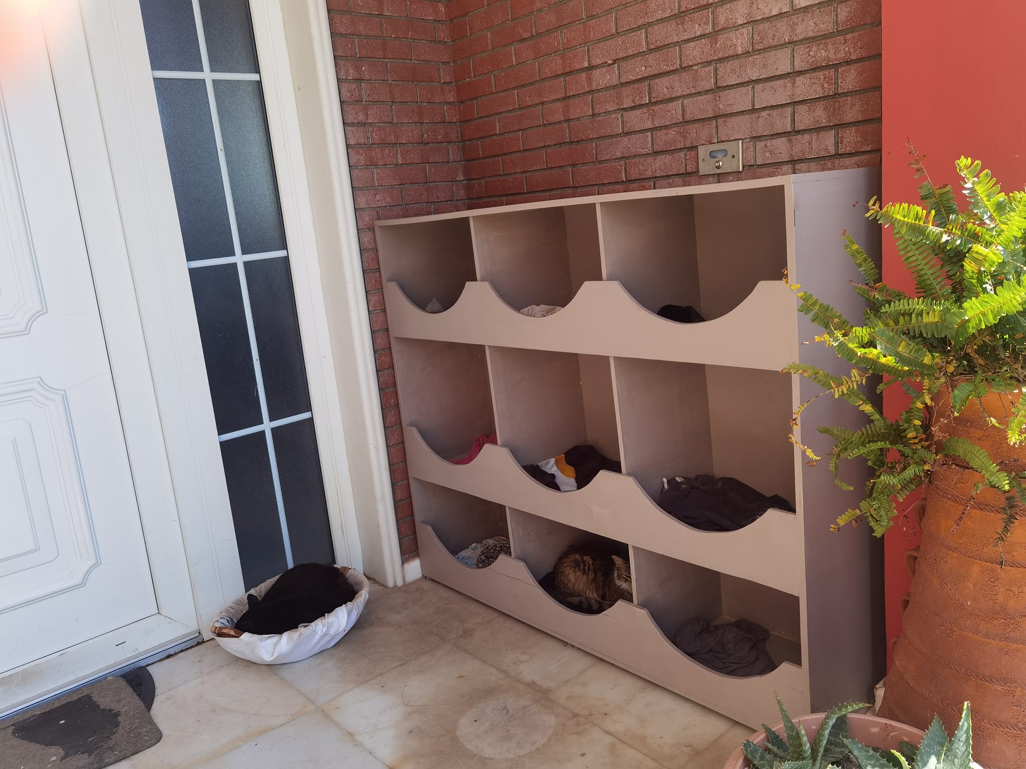 Λέσβος: Δήμαρχος κατασκεύασε ειδικό χώρο για να κοιμούνται οι γάτες της αυλής του