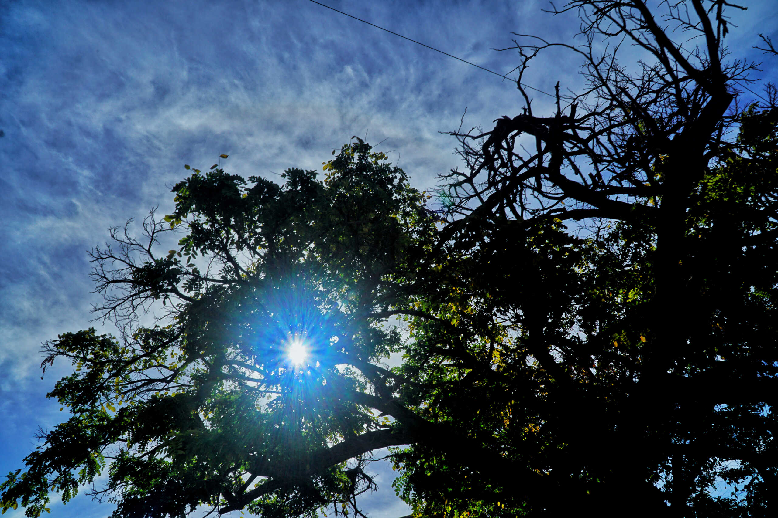 Ήλιος ανάμεσα από κλαδιά δέντρου.
(ΓΙΩΡΓΟΣ ΚΟΝΤΑΡΙΝΗΣ
