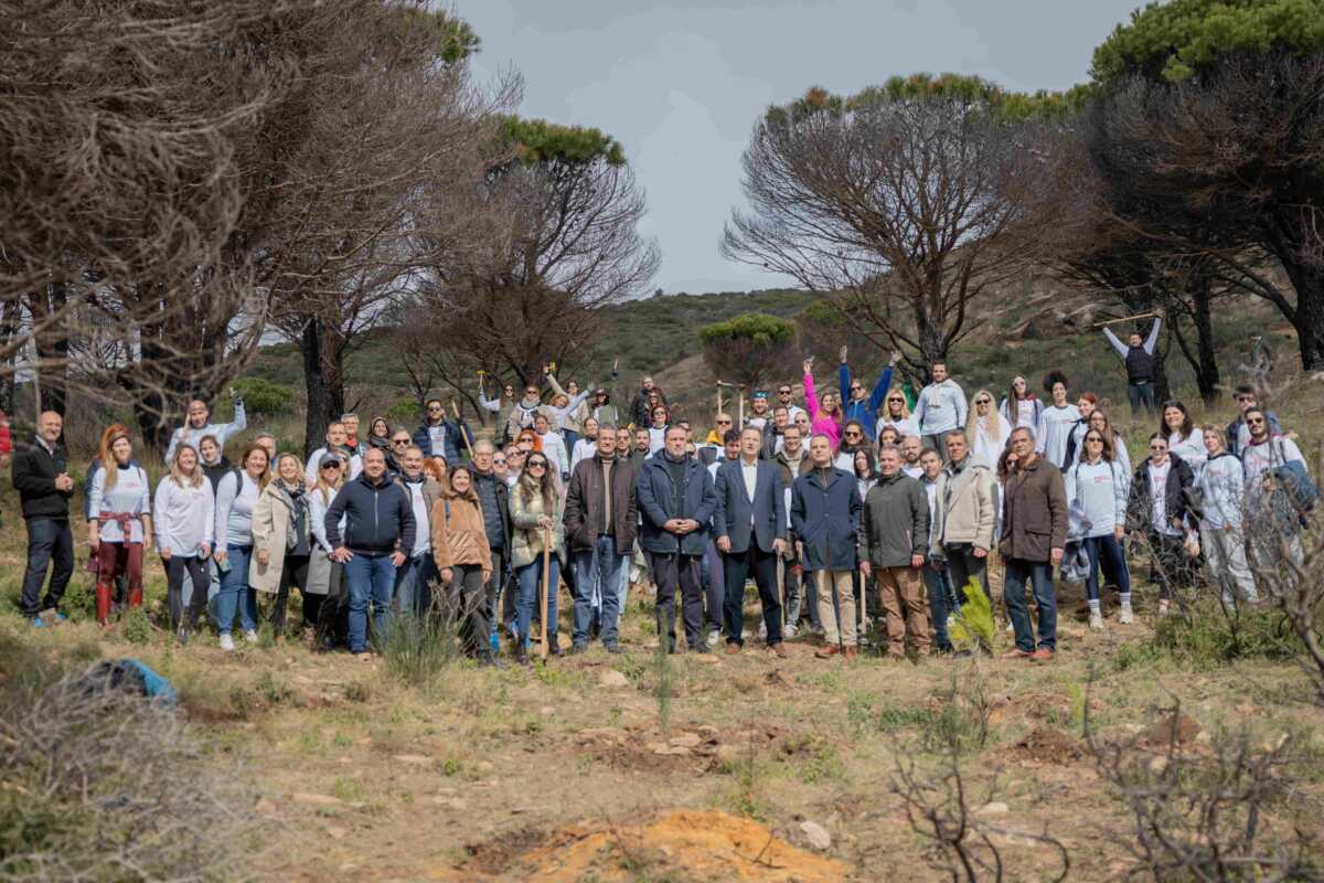 Η Παπαστράτος πρασινίζει και την Πεντέλη – Ξεκίνησε η δεύτερη φάση του μεγάλου προγράμματος Αναδάσωσης 