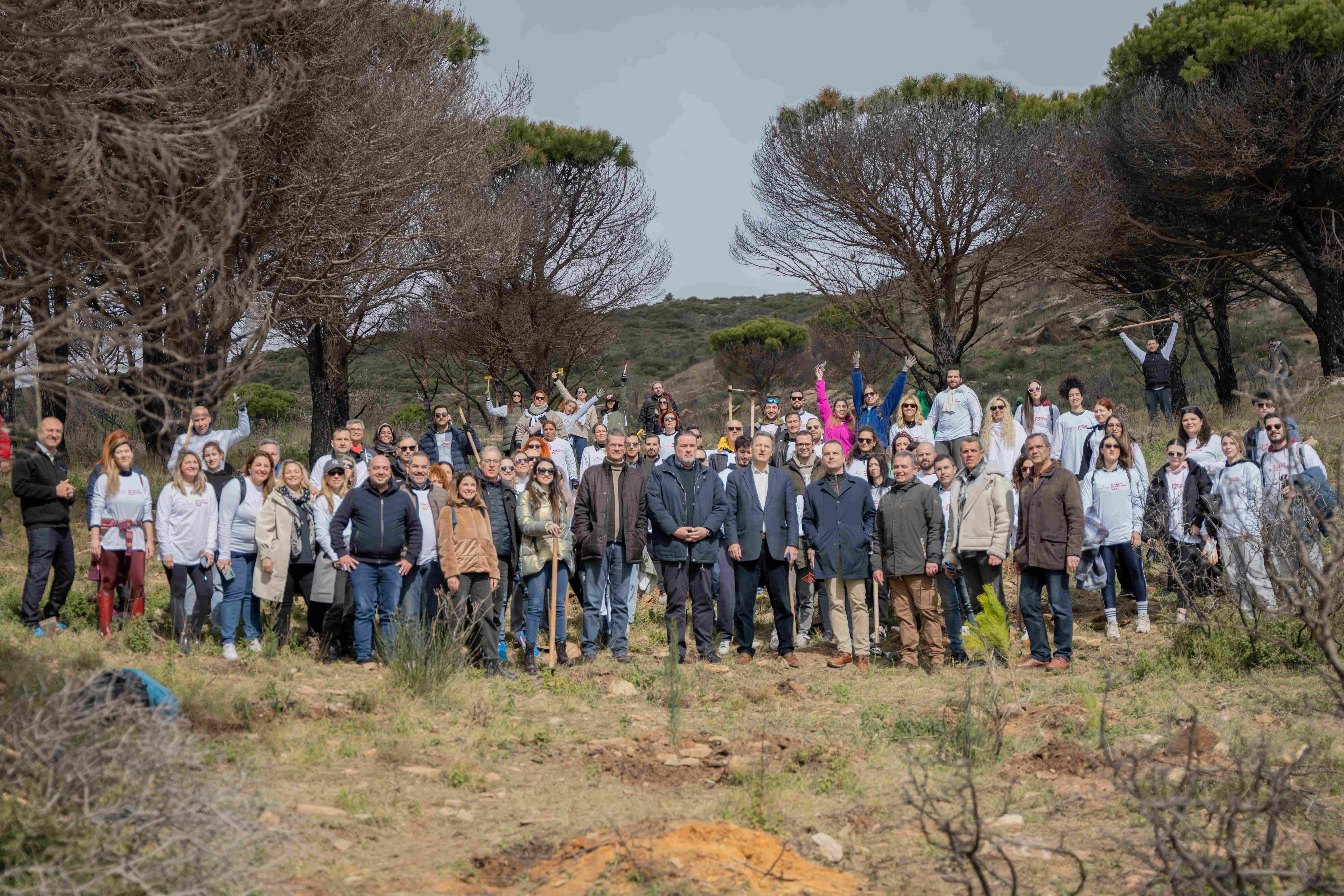 Η Παπαστράτος πρασινίζει και την Πεντέλη – Ξεκίνησε η δεύτερη φάση του μεγάλου προγράμματος Αναδάσωσης 