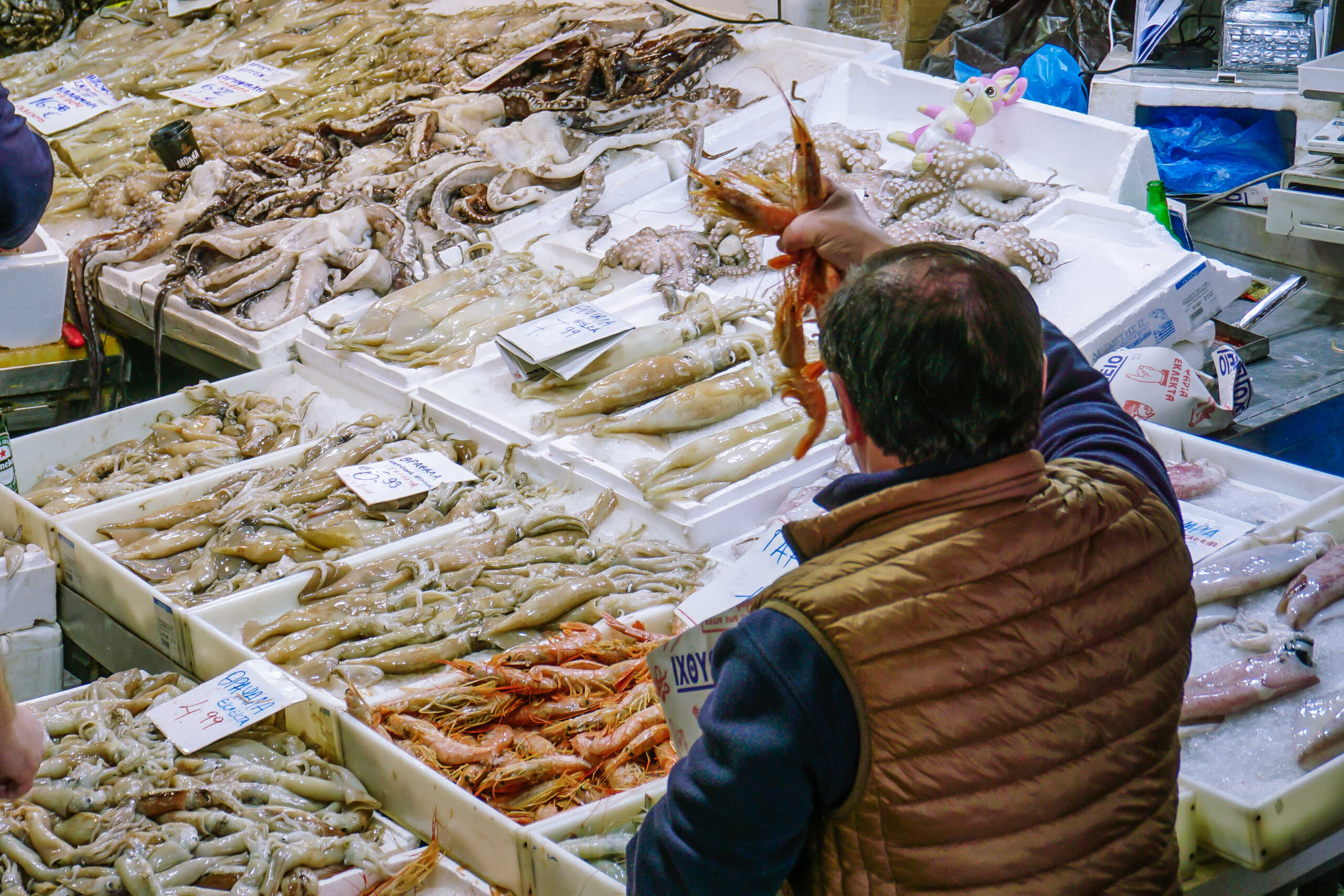 ΝΗΣΤΙΣΙΜΑ ΣΑΡΑΚΟΣΤΙΑΝΑ ΕΔΕΣΜΑΤΑ.Σάββατο 25 Φεβρουαρίου 2023 (ΓΙΩΡΓΟΣ ΚΟΝΤΑΡΙΝΗΣ