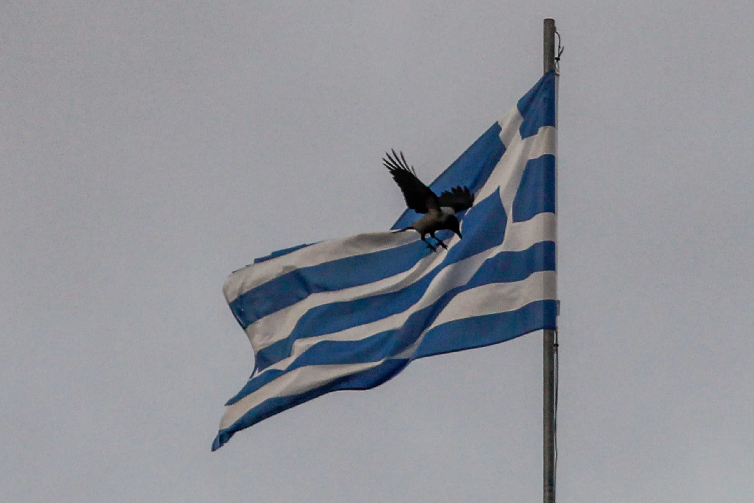 Χαλκίδα: Δικηγόρος κατέβασε την ελληνική σημαία από τα δικαστήρια και κρέμασε τις κάλτσες της