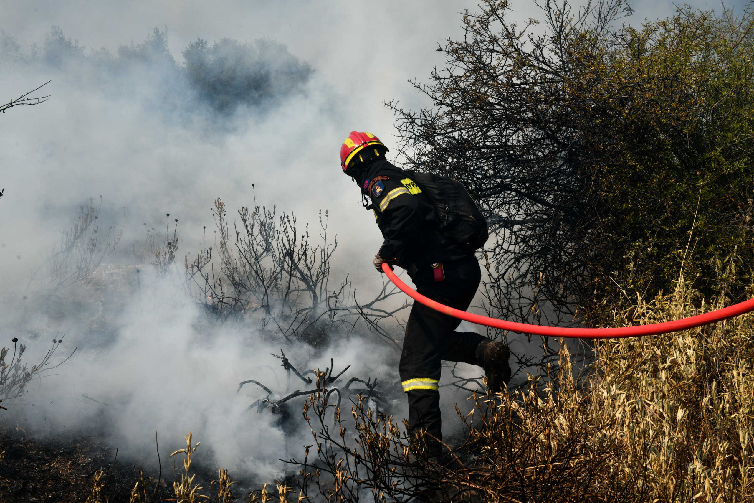 Φωτιά σε δασική έκταση στην περιοχή Κάλφα του Δήμου Δυτικής Αχαΐας