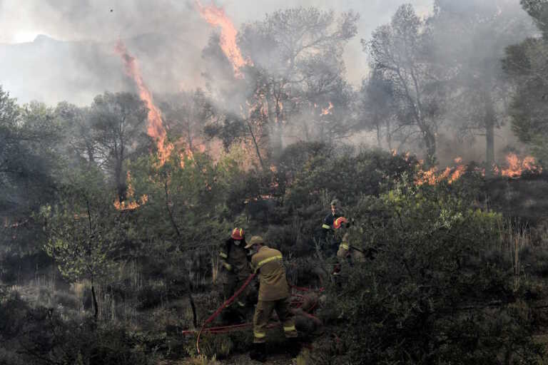 Φωτιά στη Δαύλεια Βοιωτία καίει θάμνους και δέντρα - Υπό μερικό έλεγχο η εστία στην Παιανία