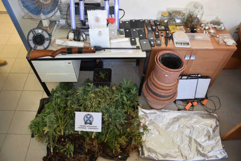 Καλλιεργούσε δενδρύλλια κάνναβης σε σπίτι στην Αρτέμιδα - Φωτογραφίες από το παράνομο εργαστήριο