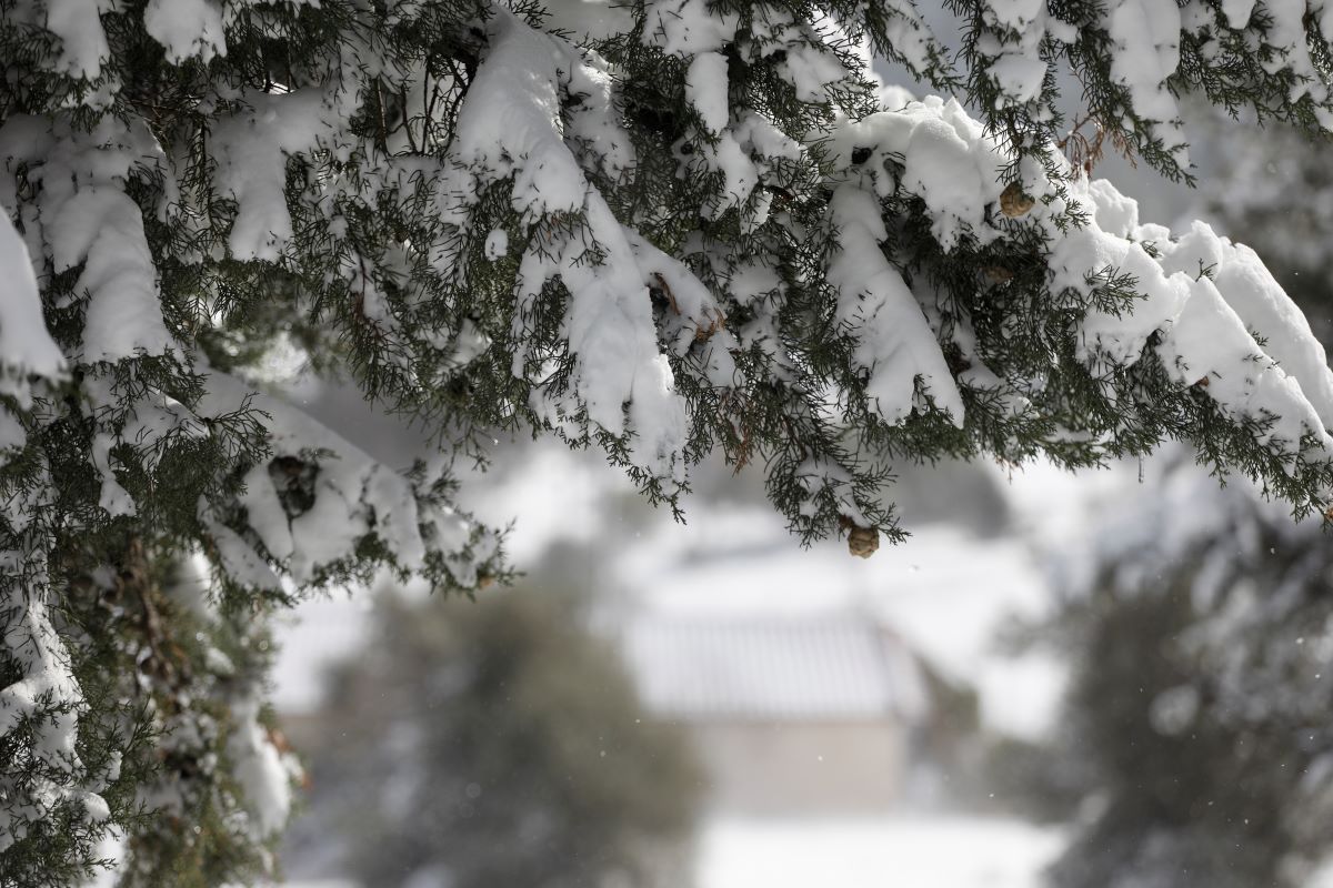 Καιρός: Η κακοκαιρία «επελαύνει» στα ορεινά – Χιόνισε σε Βελούχι, Οίτη και Βαρδούσια