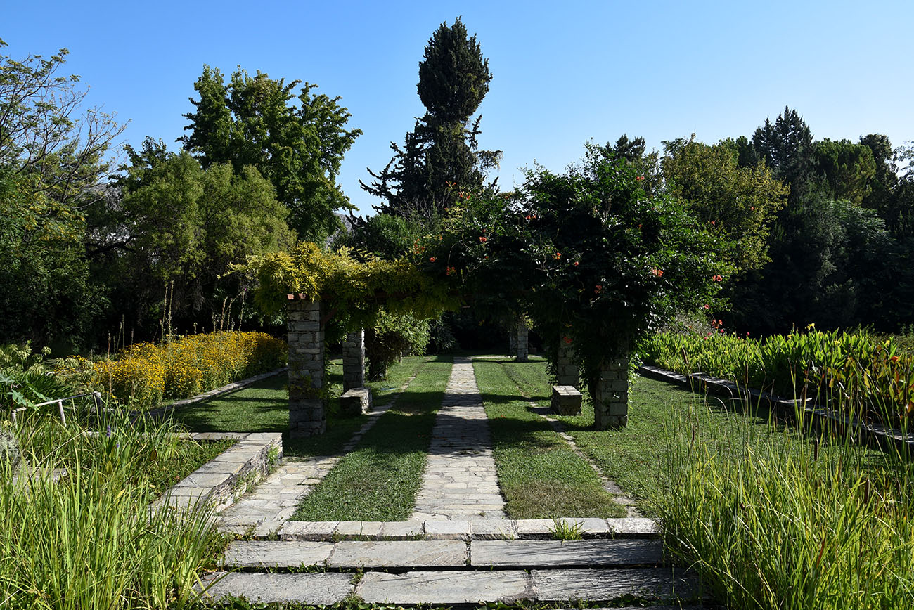 Βοτανικός Κήπος: Ένας παράδεισος μόλις λίγα λεπτά από το κέντρο της Αθήνας