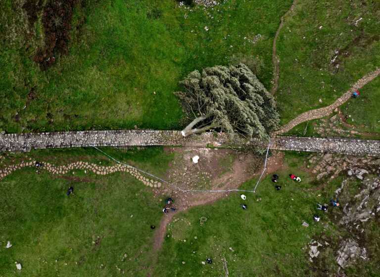 Δίωξη σε βάρος 2 ανδρών πιο έκοψαν το Sycamore Gap, το πιο εμβληματικό δέντρο της Βρετανίας