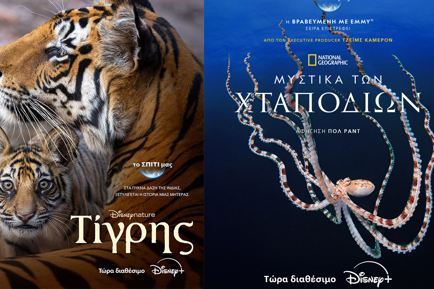 Ημέρα της Γης: Η σειρά «Τα Μυστικά των χταποδιών» και η νέα ταινία «Τίγρης» στο Disney+