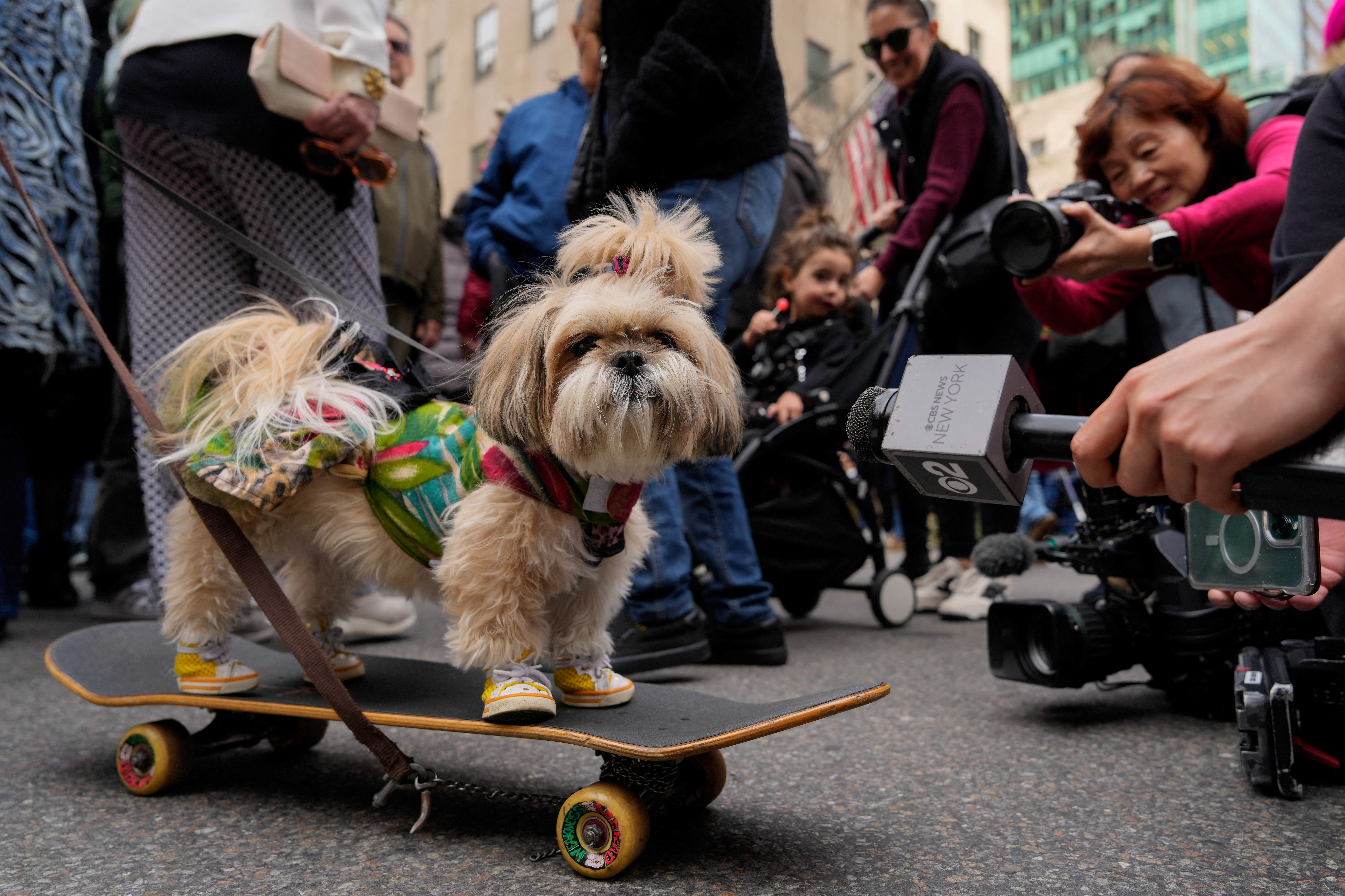Media place a microphone next to a dog as revelers take part in the annual Easter Parade and Bonnet Festival on 5th Avenue outside St. Patrick's Cathedral in Manhattan in New York City, U.S., March 31, 2024. REUTERS